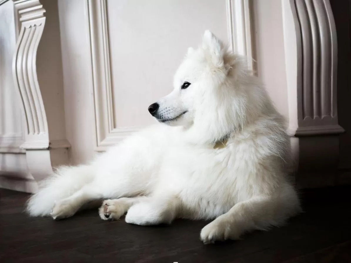 Other in Beach Green Hotel