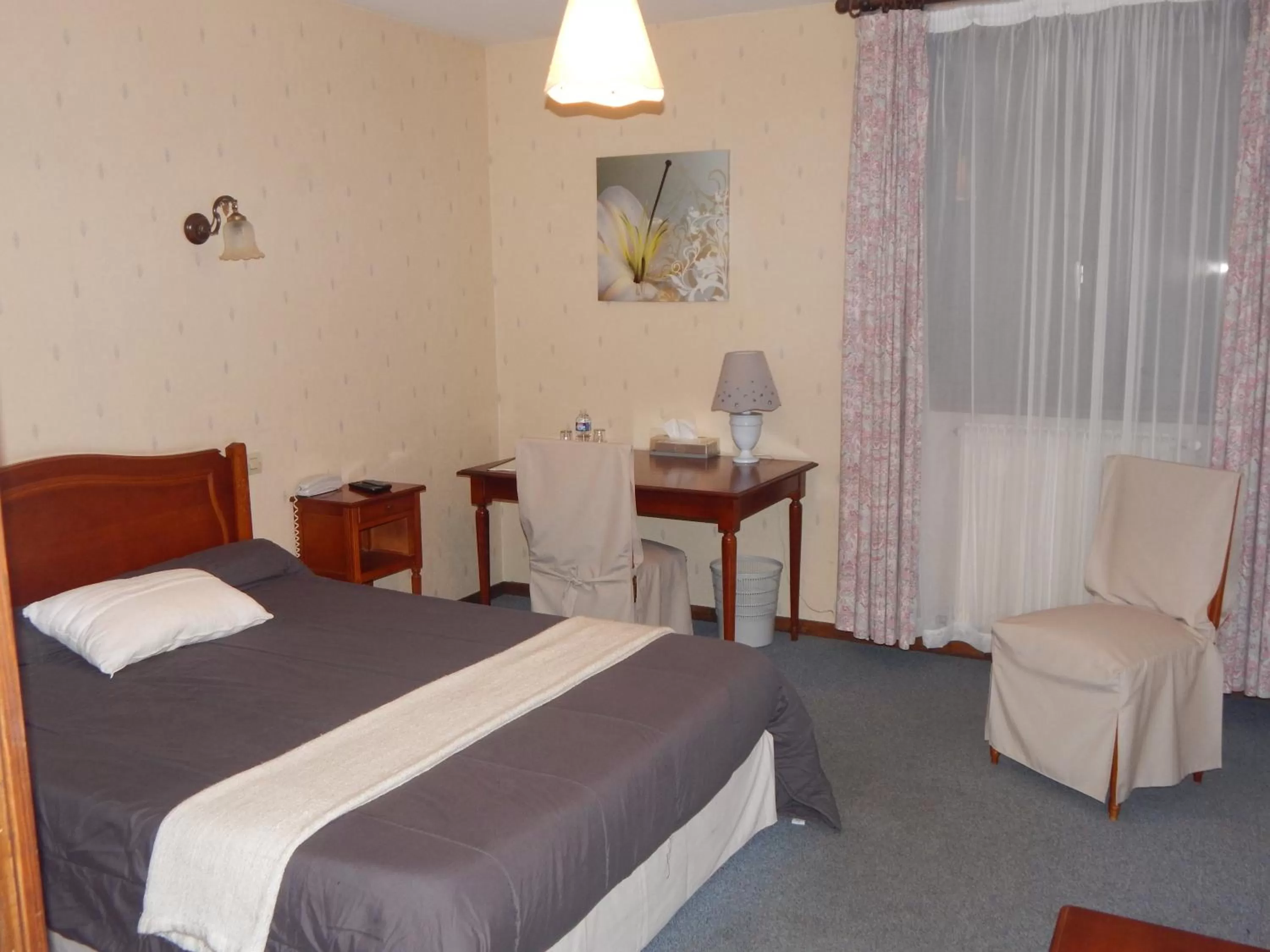 Pets, Bed in Hotel Restaurant Le Cygne