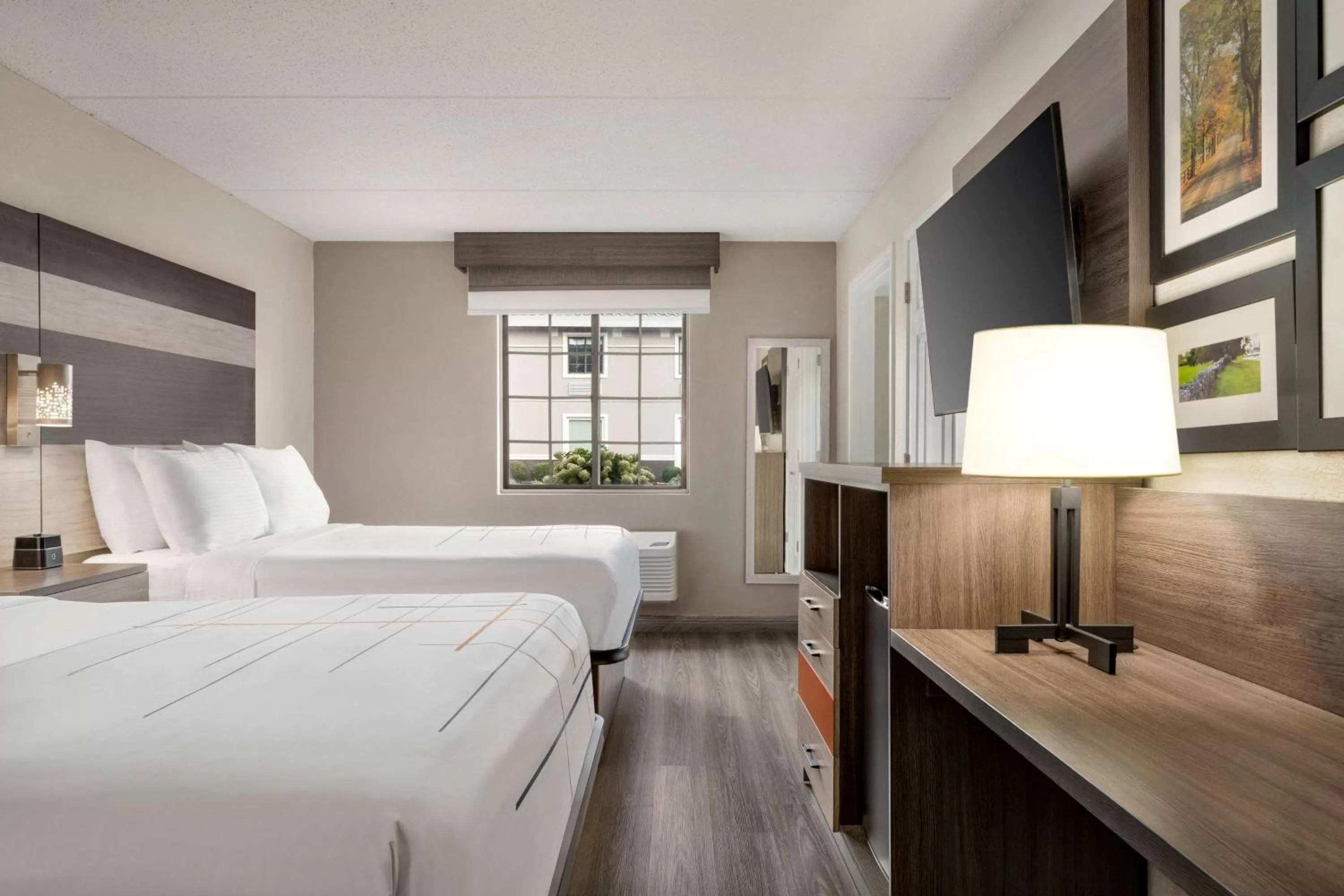 Photo of the whole room, Bed in La Quinta Inn Lexington-Horse Park