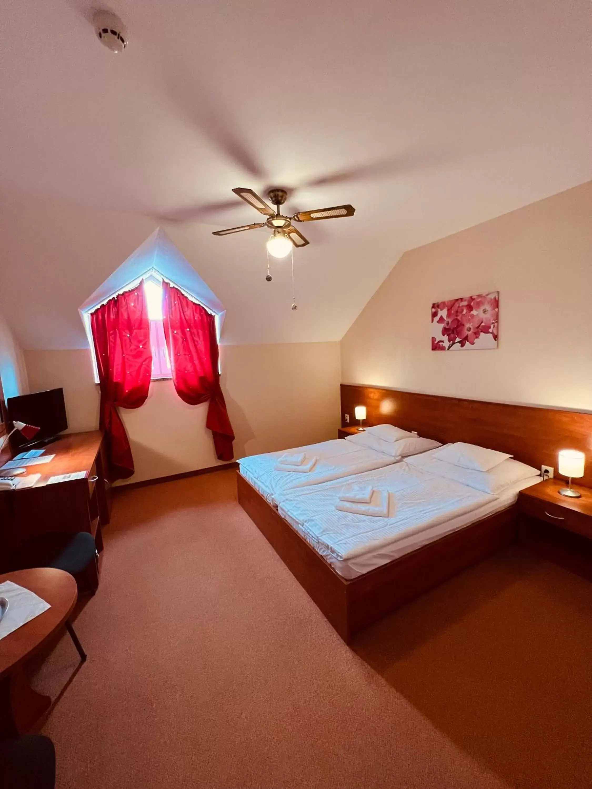 Double Room - single occupancy in Hotel Orchidea Spa & Wellness Double Room - single occupancy in Hotel Orchidea Spa & Wellness