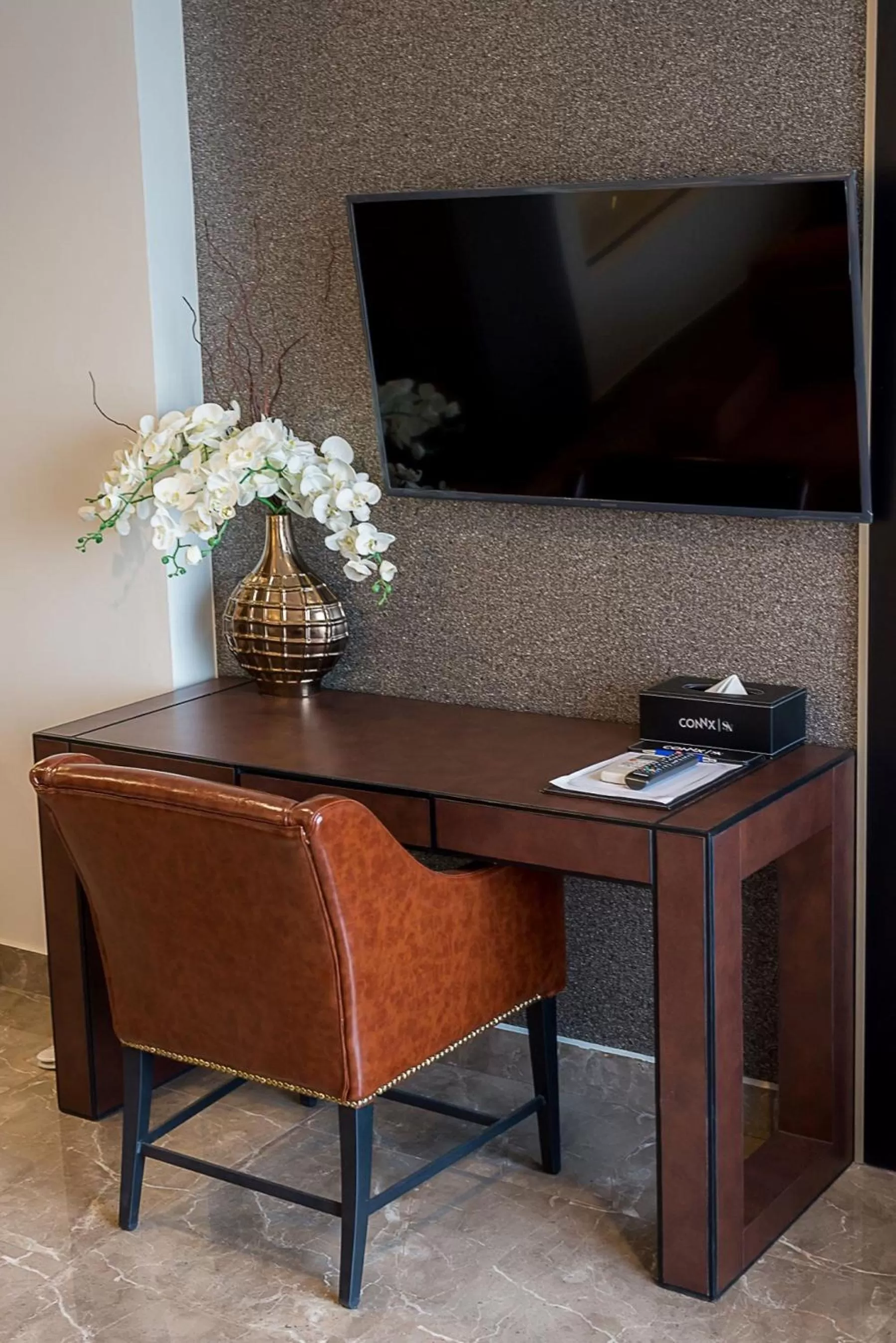 TV and multimedia in SN Connx - SHA Plus