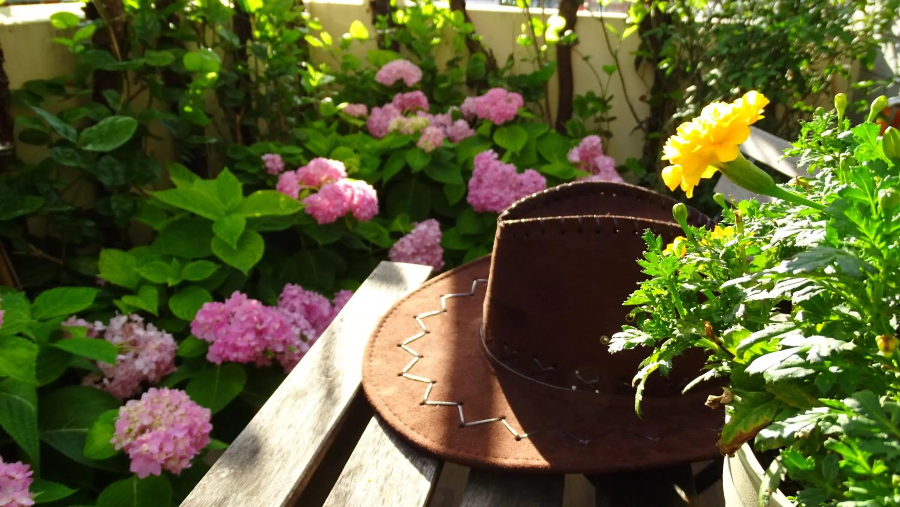 Garden in Luna's House