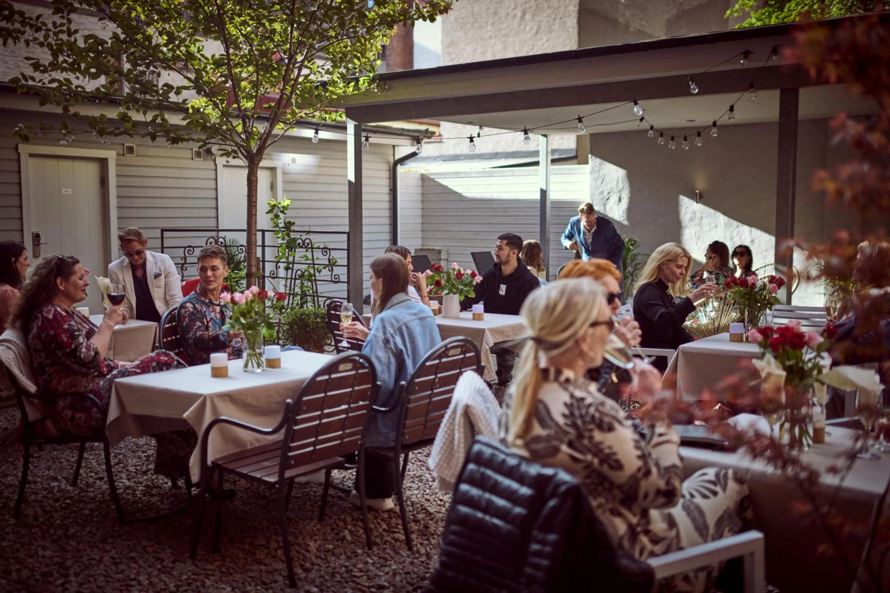 Garden in Hotel Continental Relax & Spa