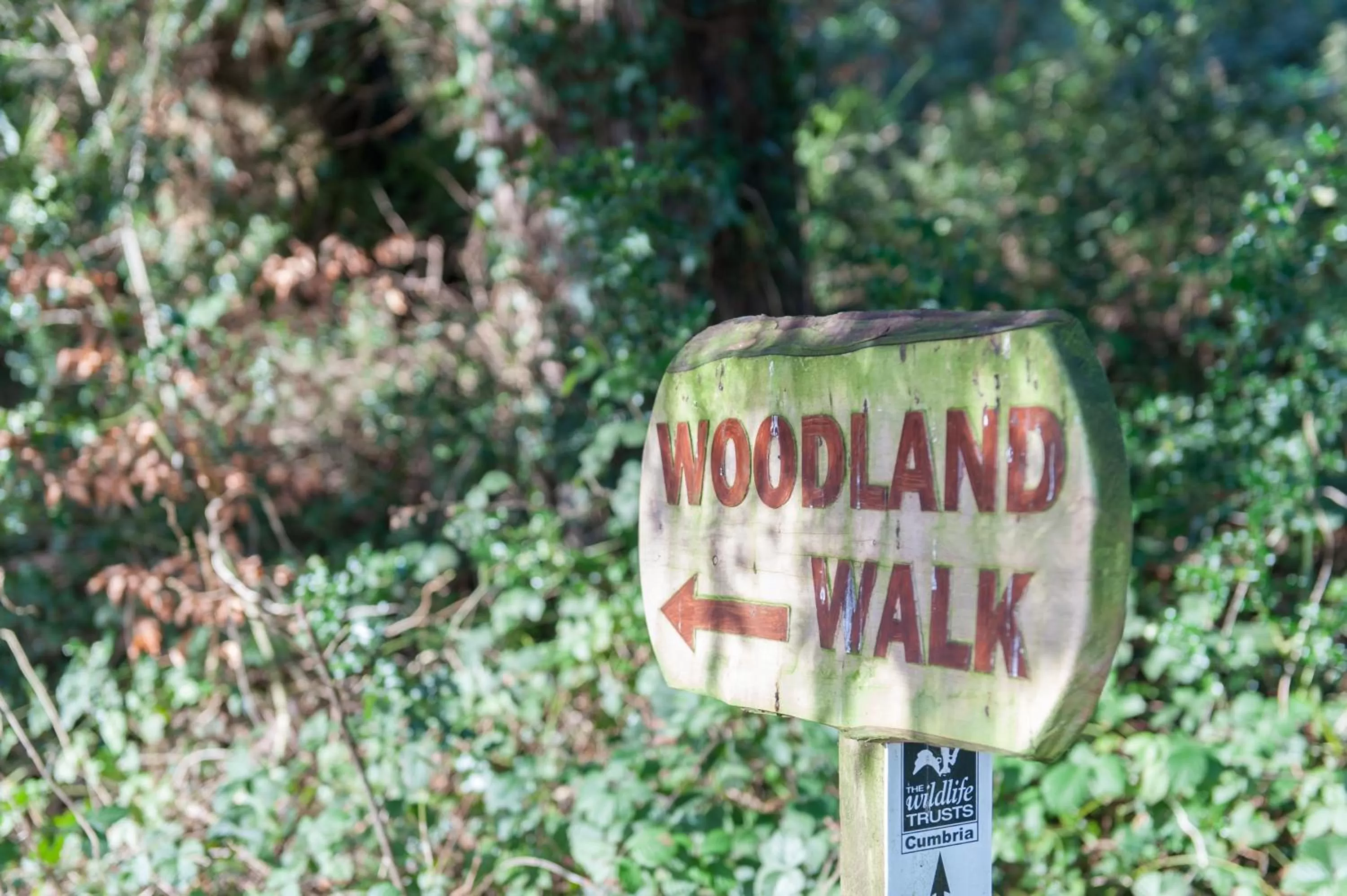 Hiking in Cumbria Grand Hotel