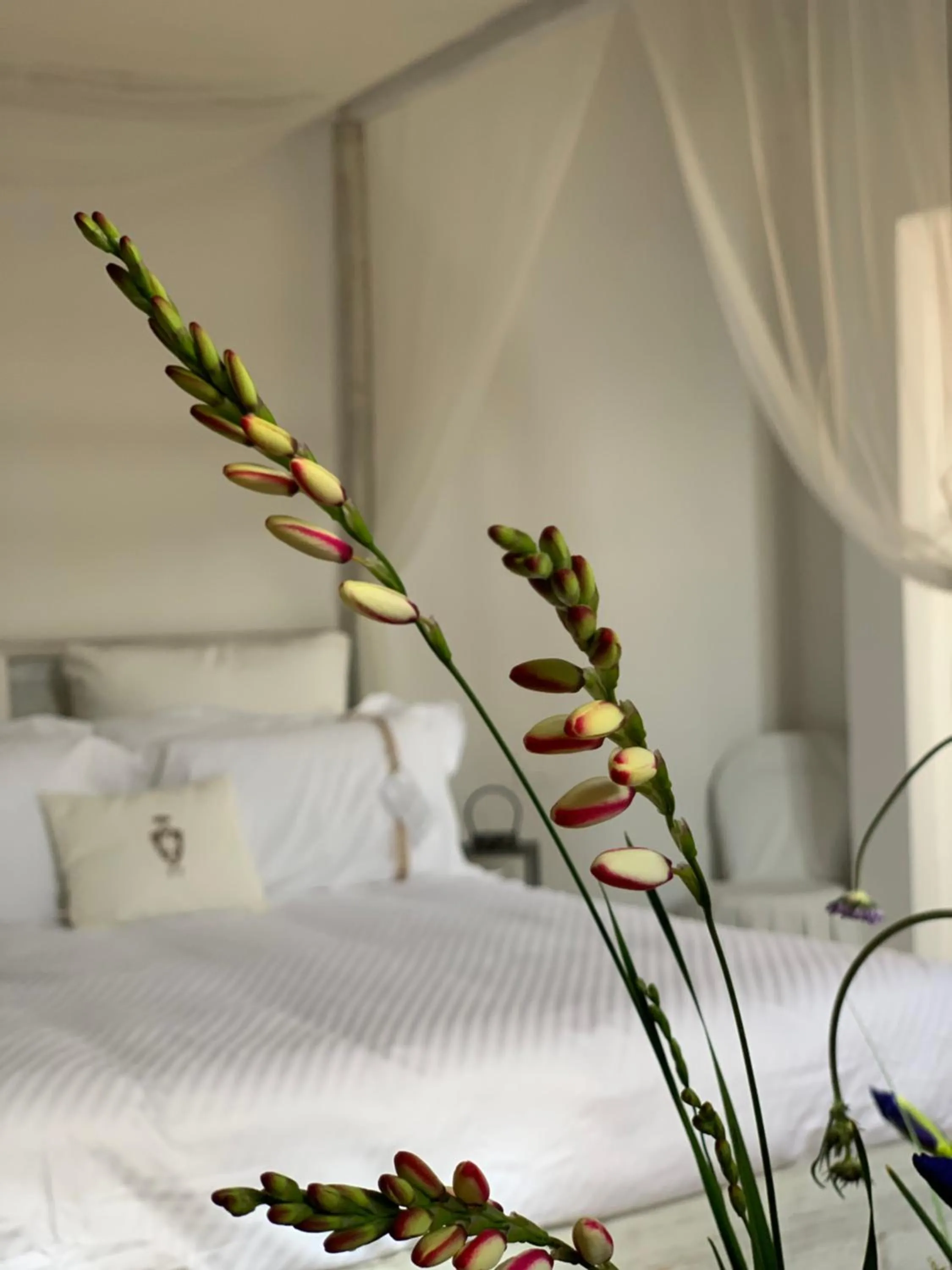 Decorative detail, Bed in Palazzo Castriota