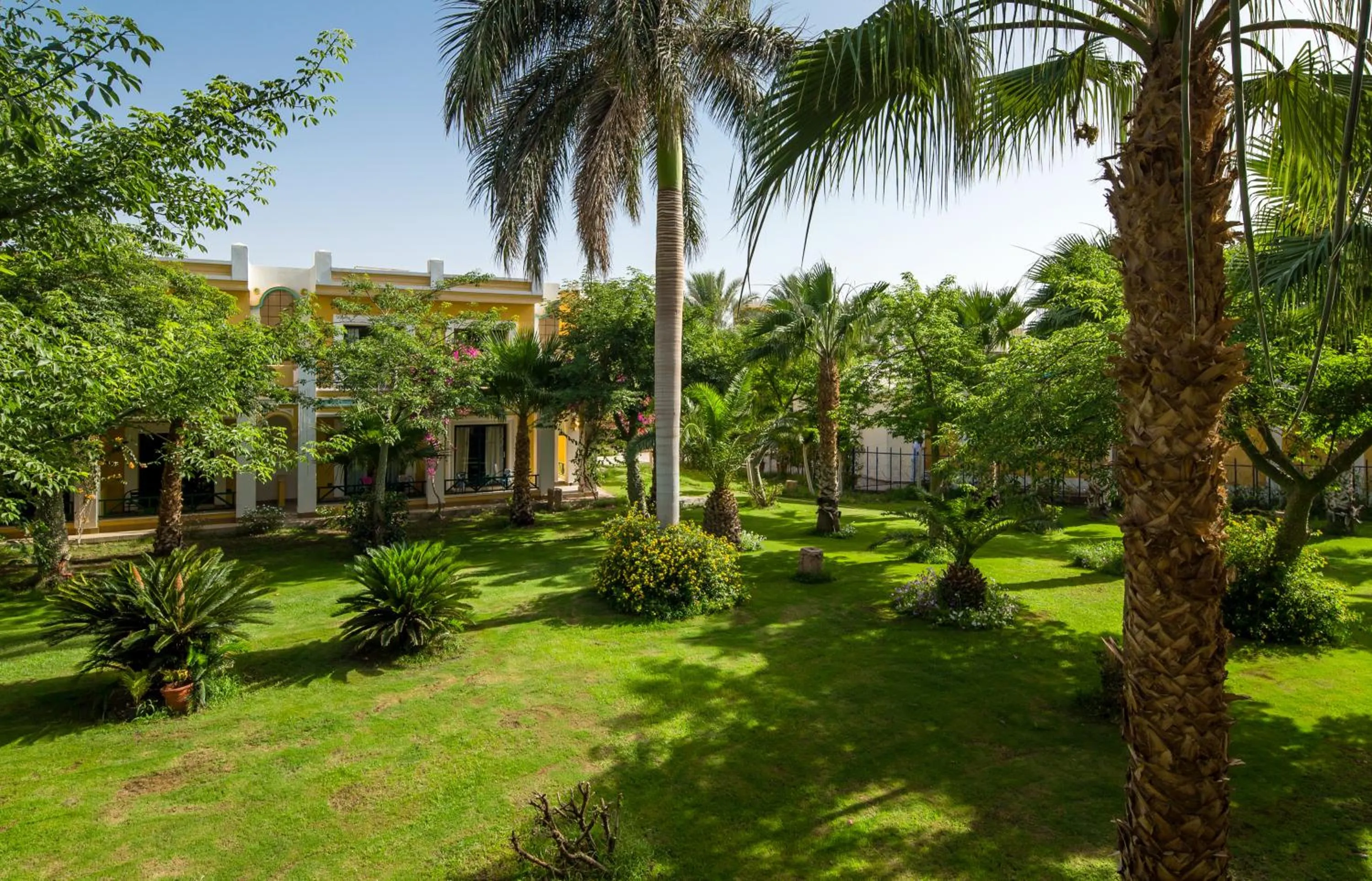 Garden view in Mirage Bay Resort & Aqua Park