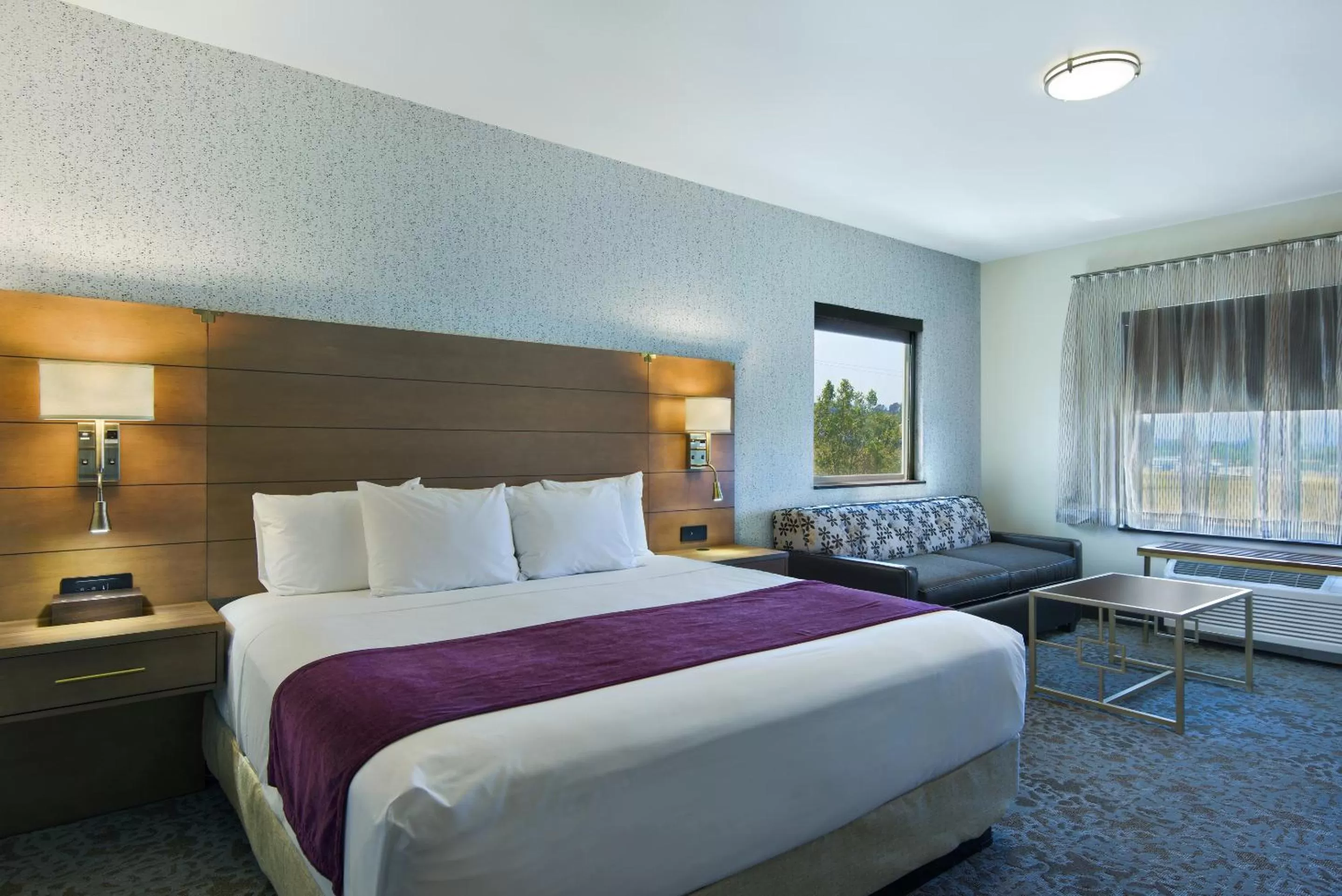 Valley View King Suite in Oxford Suites Sonoma - Rohnert Park