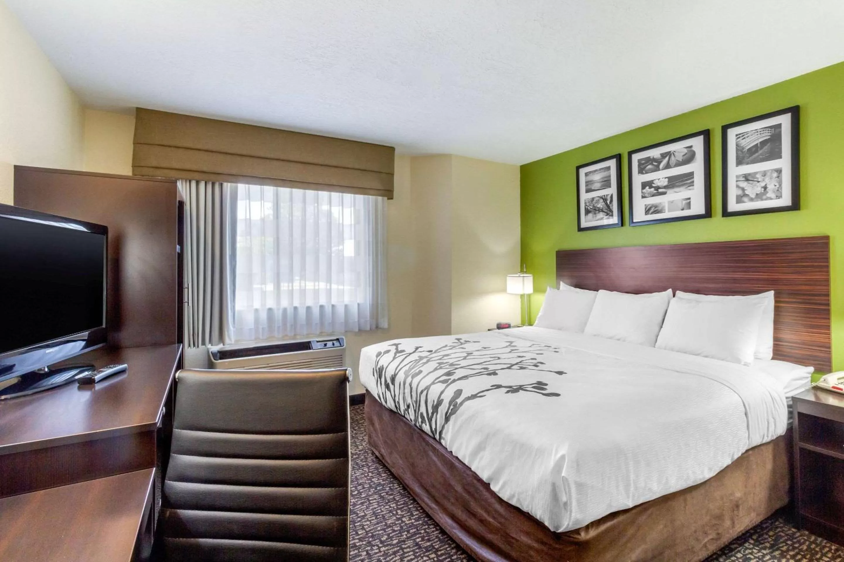 Photo of the whole room, Bed in Sleep Inn Ogden near Event Center