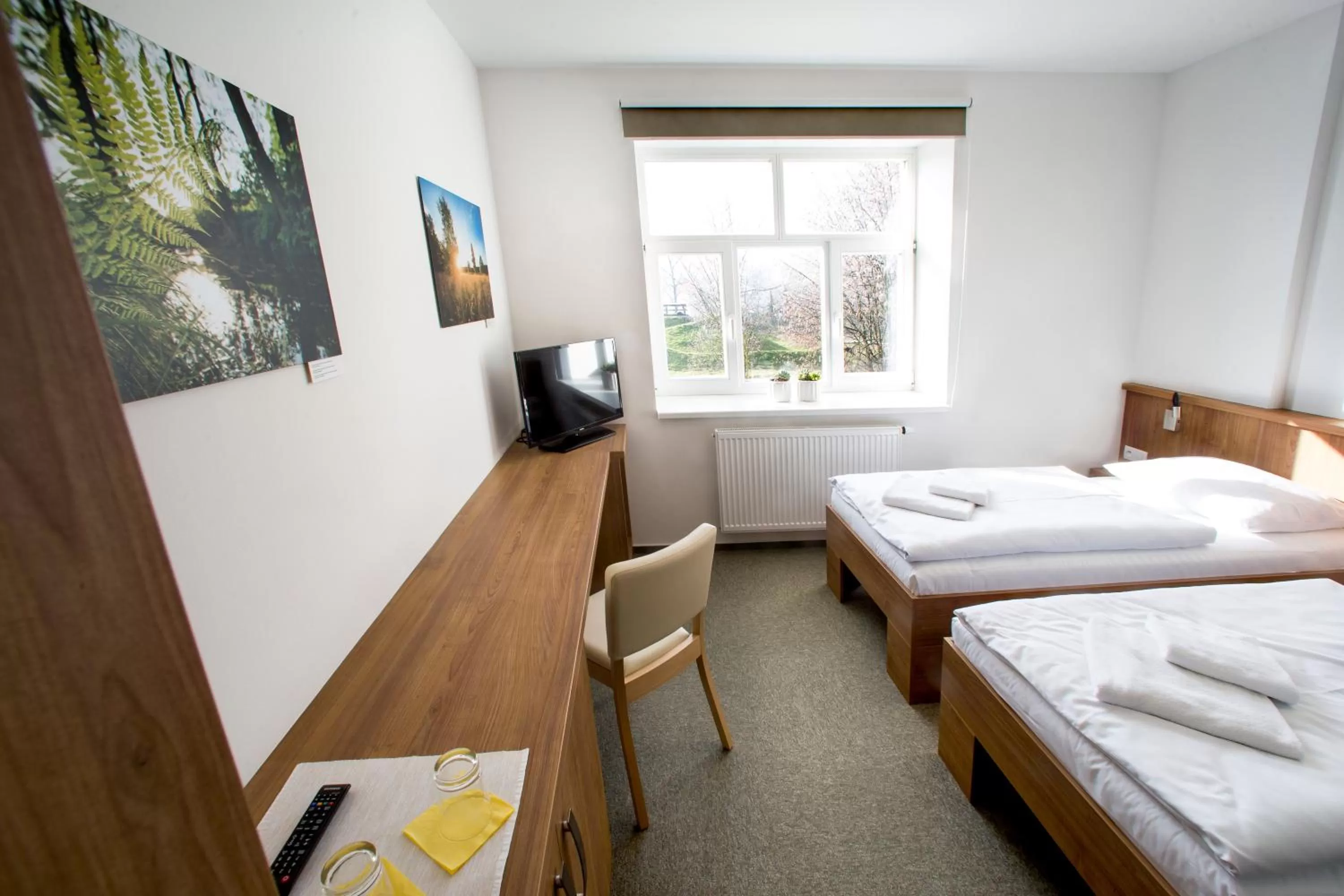 Shower, Bed in Penzion Panský dvůr Telč