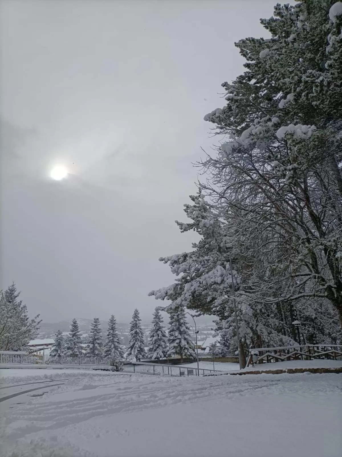 Natural landscape, Winter in Casa Fra Ambrogio