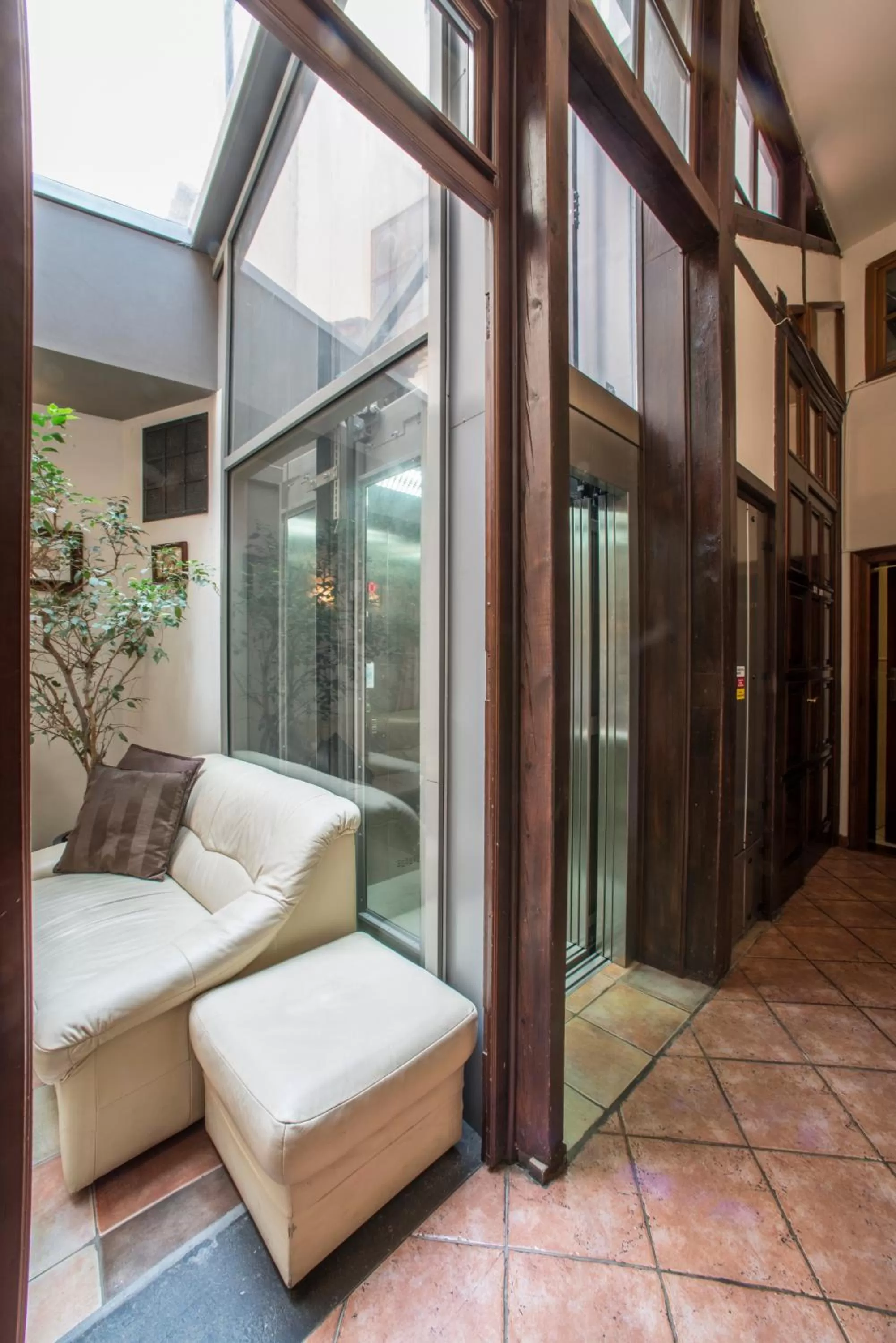 Area and facilities in Hotel Cerny Slon