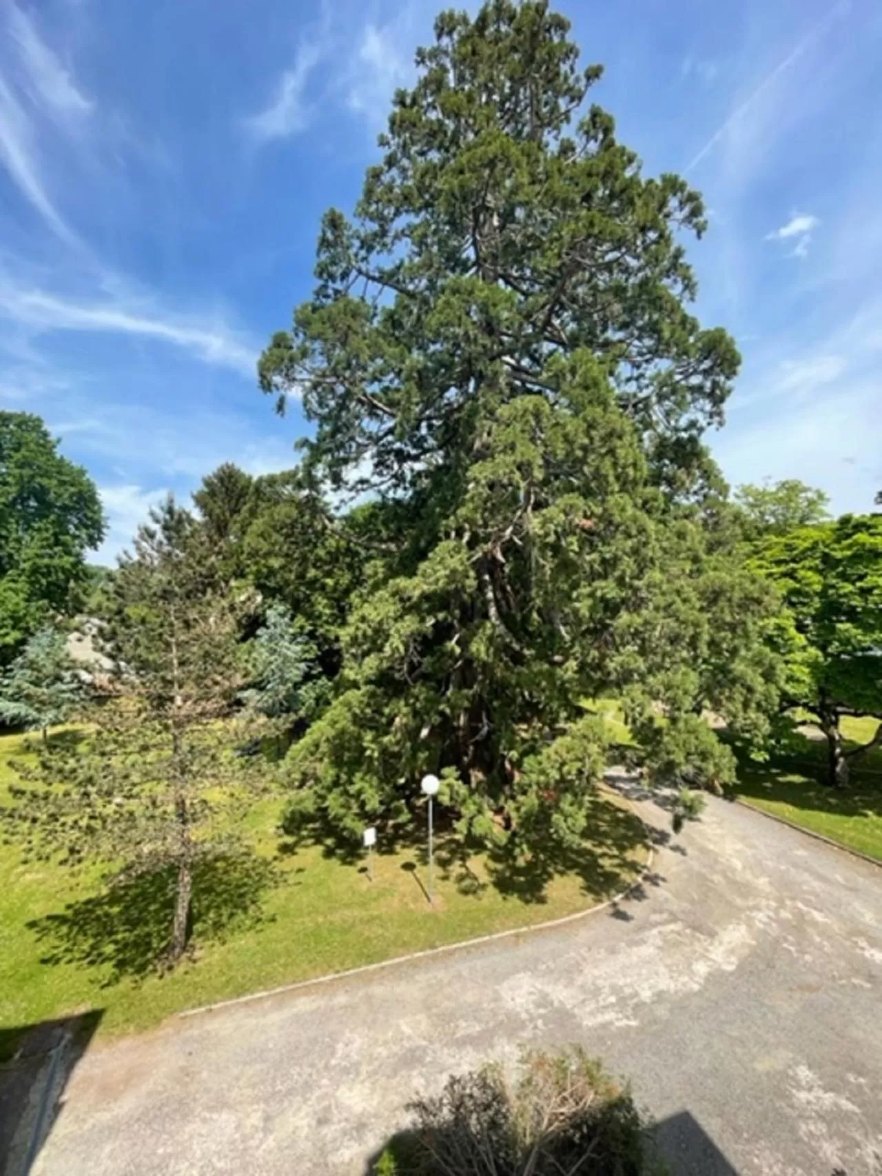 Spring in VILLA BONVOULOIR