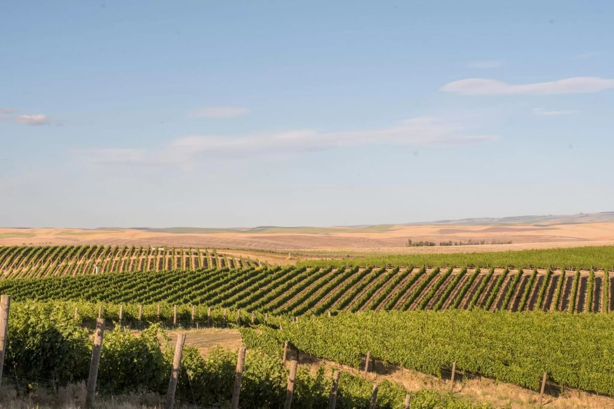 View (from property/room) in Eritage Resort