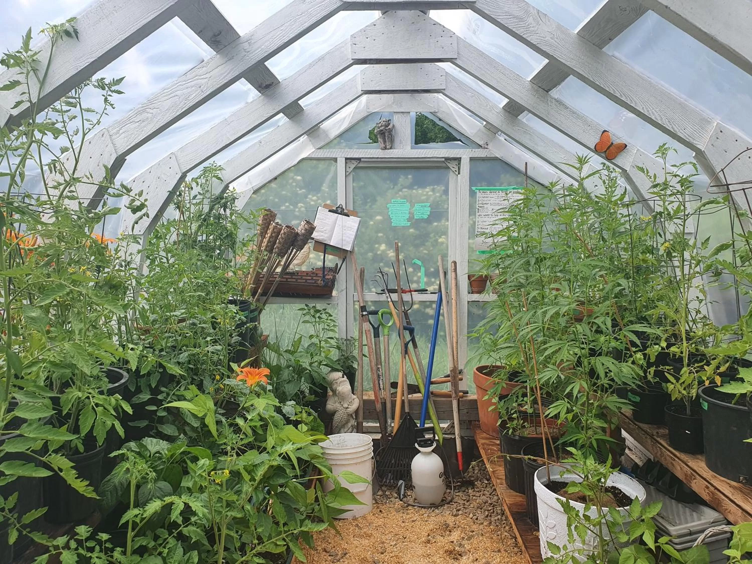 Garden in Le Salon des Inconnus