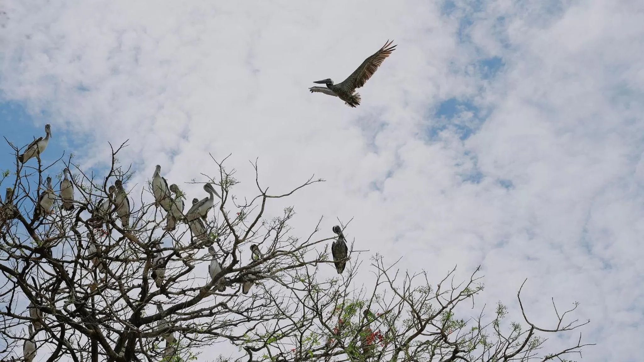 Natural landscape in Saboga Lodge