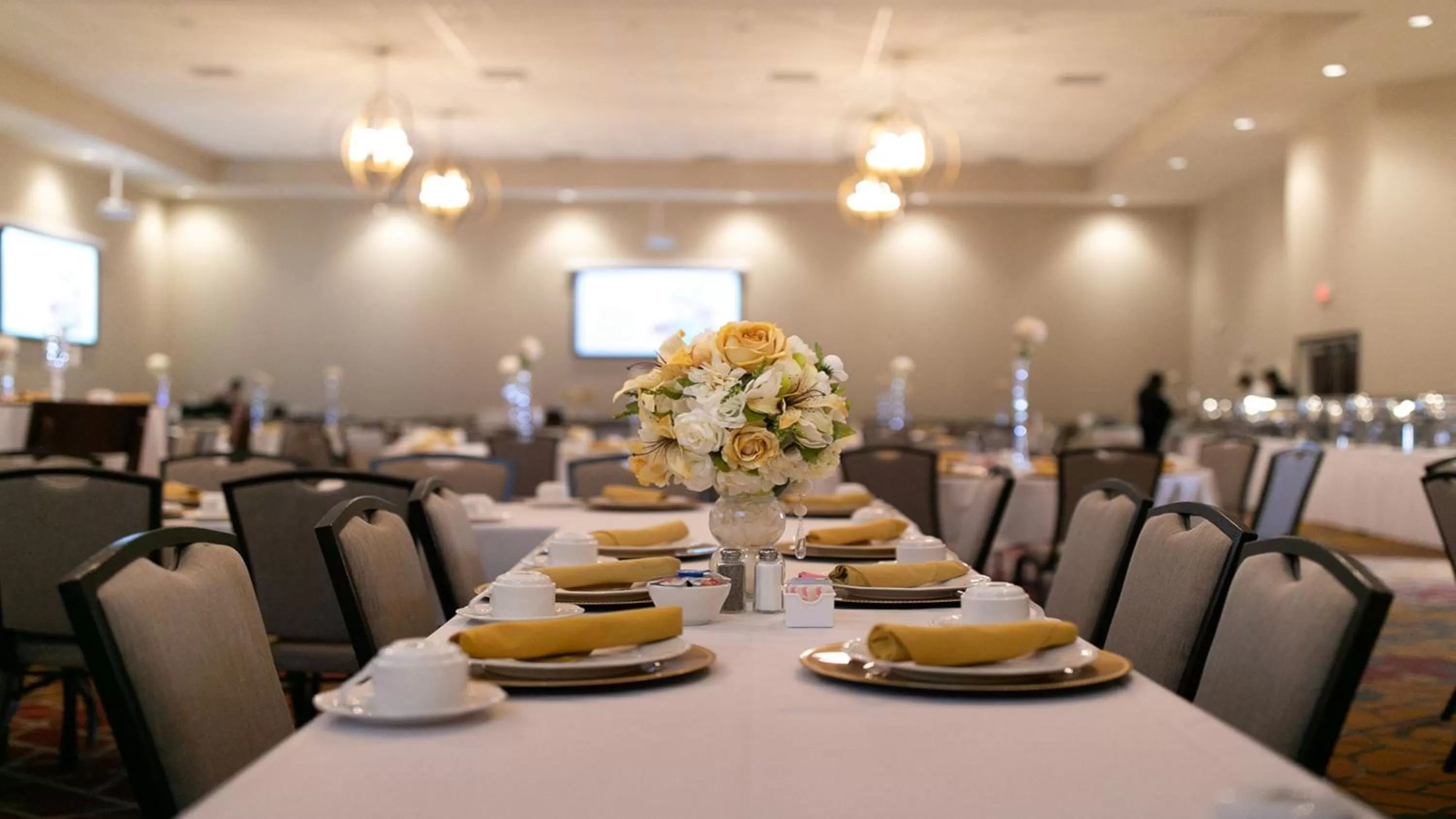 Meeting/conference room in Holiday Inn Mishawaka by IHG