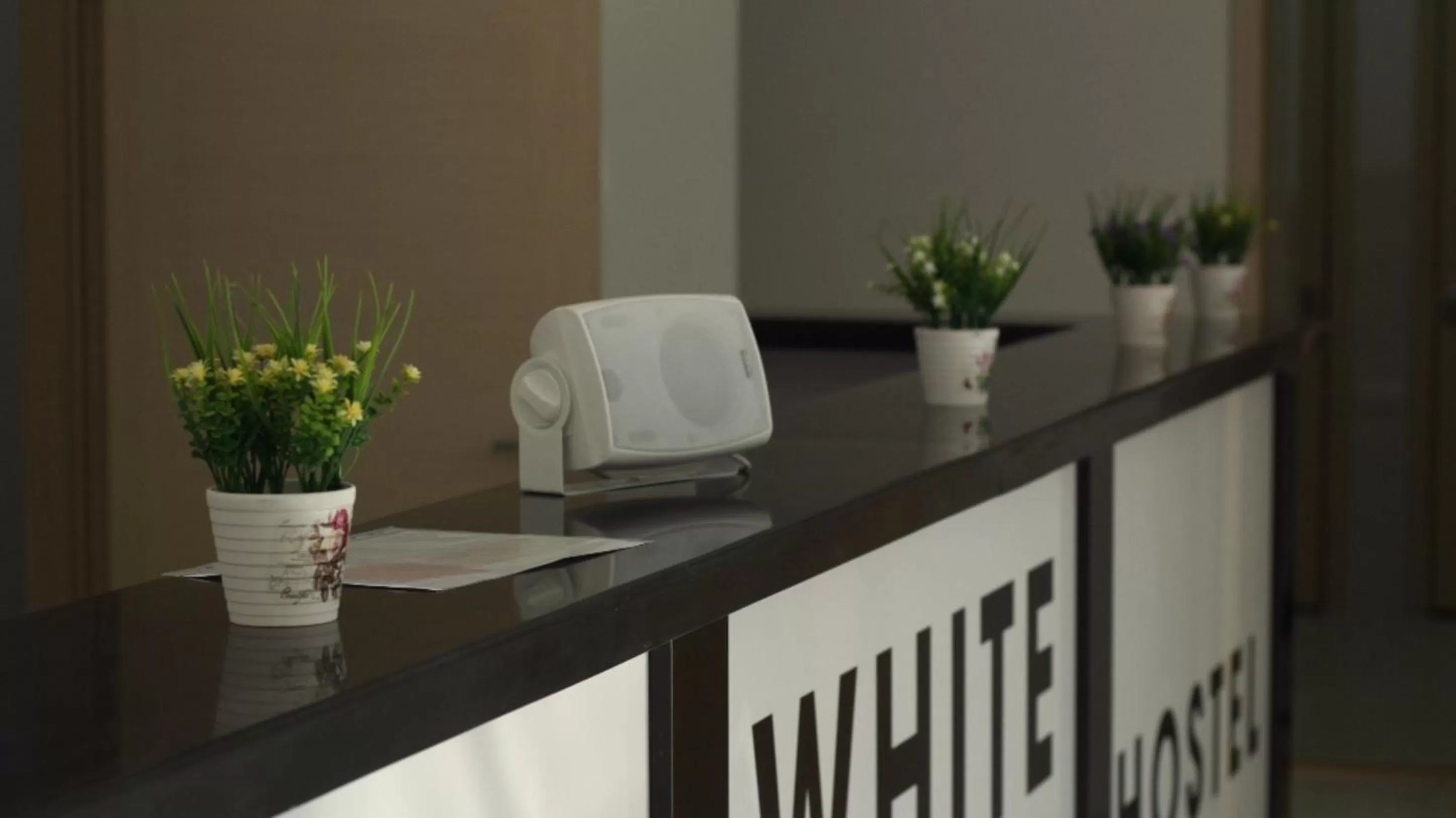 WHITE HOTEL & HOSTEL