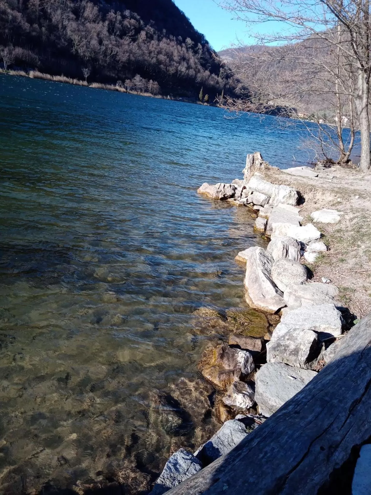 Natural landscape in B&B La Corte del Segrino