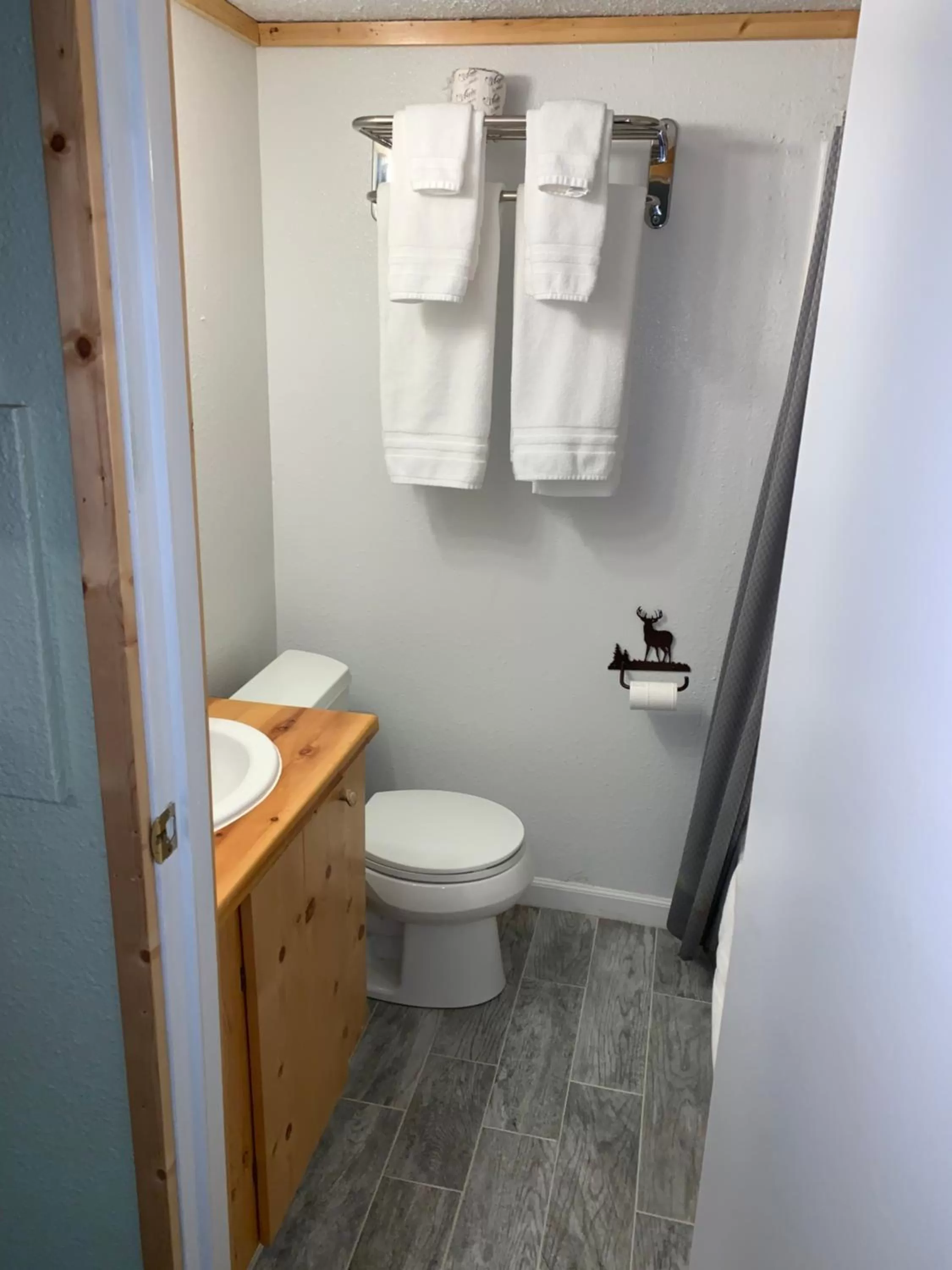 Bathroom in Glacier Haven Inn