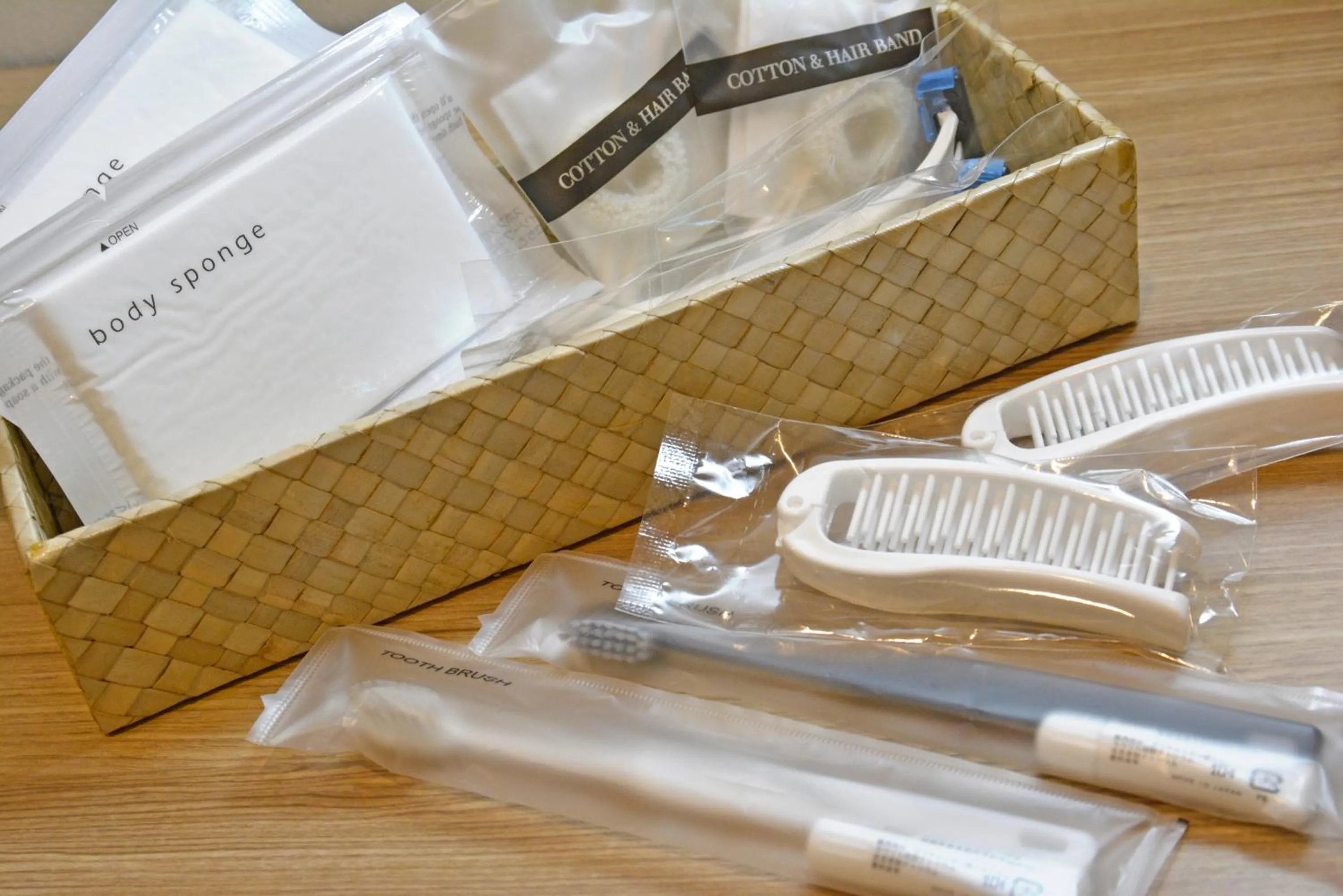 Other in Rembrandt Style Tokyo Nishikasai Grande