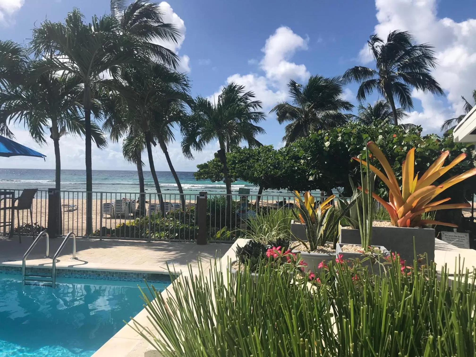 Day in Coconut Court Beach Hotel