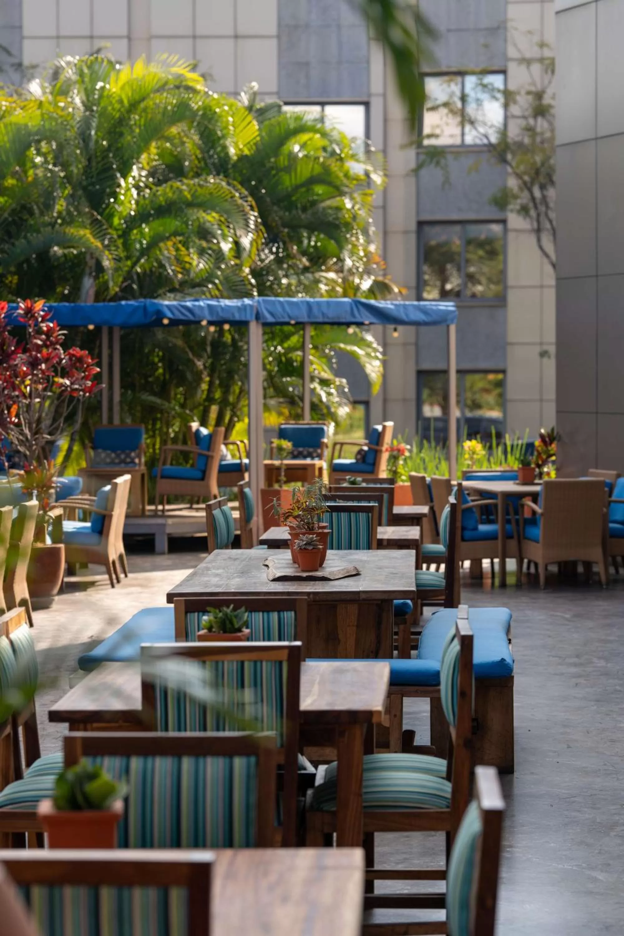 Restaurant/places to eat in Radisson Blu Hotel Lusaka