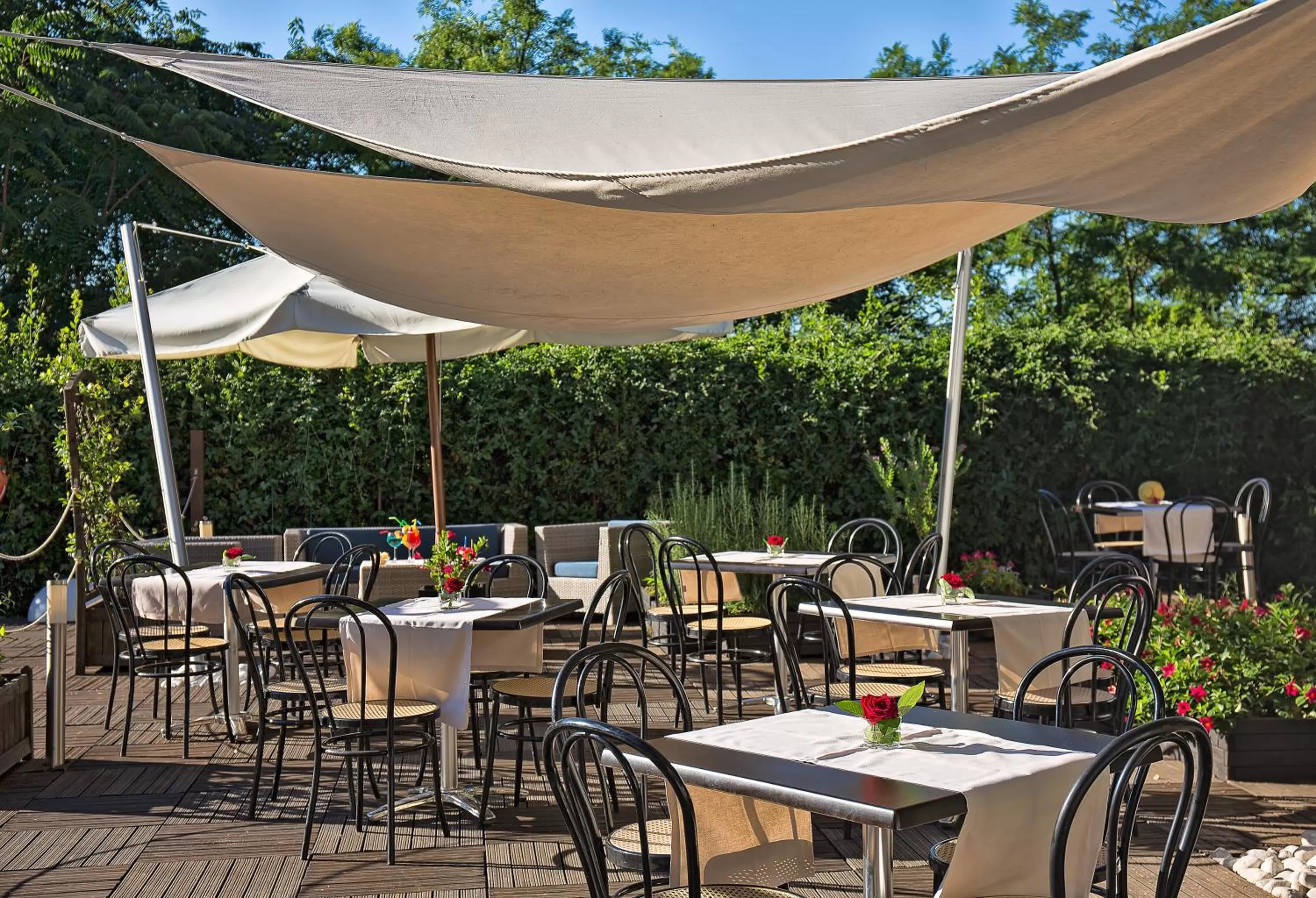 Restaurant/places to eat in LH Hotel Excel Roma Montemario