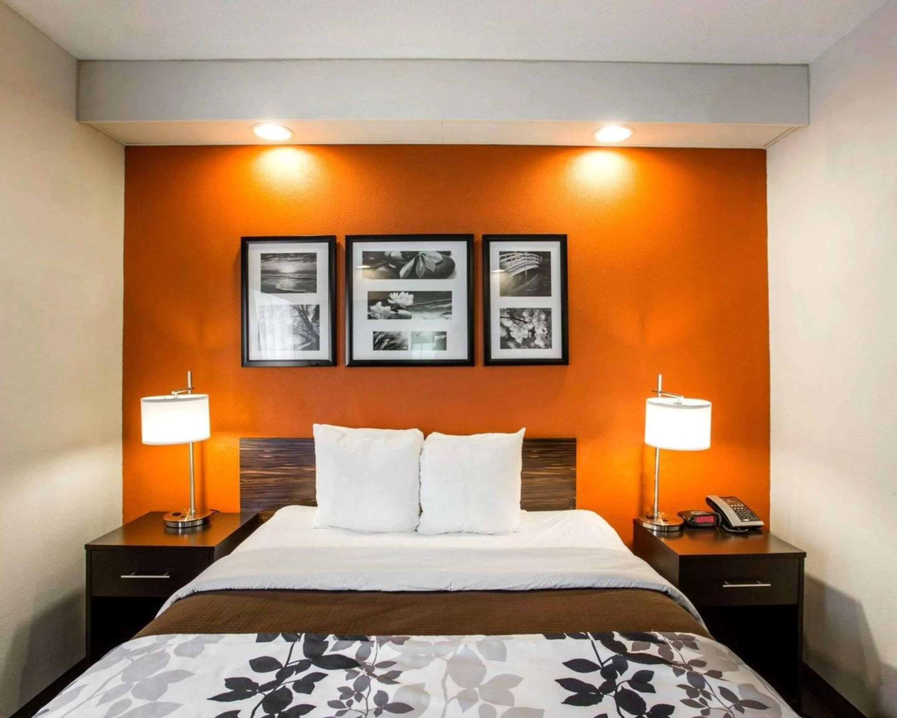 Photo of the whole room, Bed in Sleep Inn Nashville - Brentwood - Cool Springs