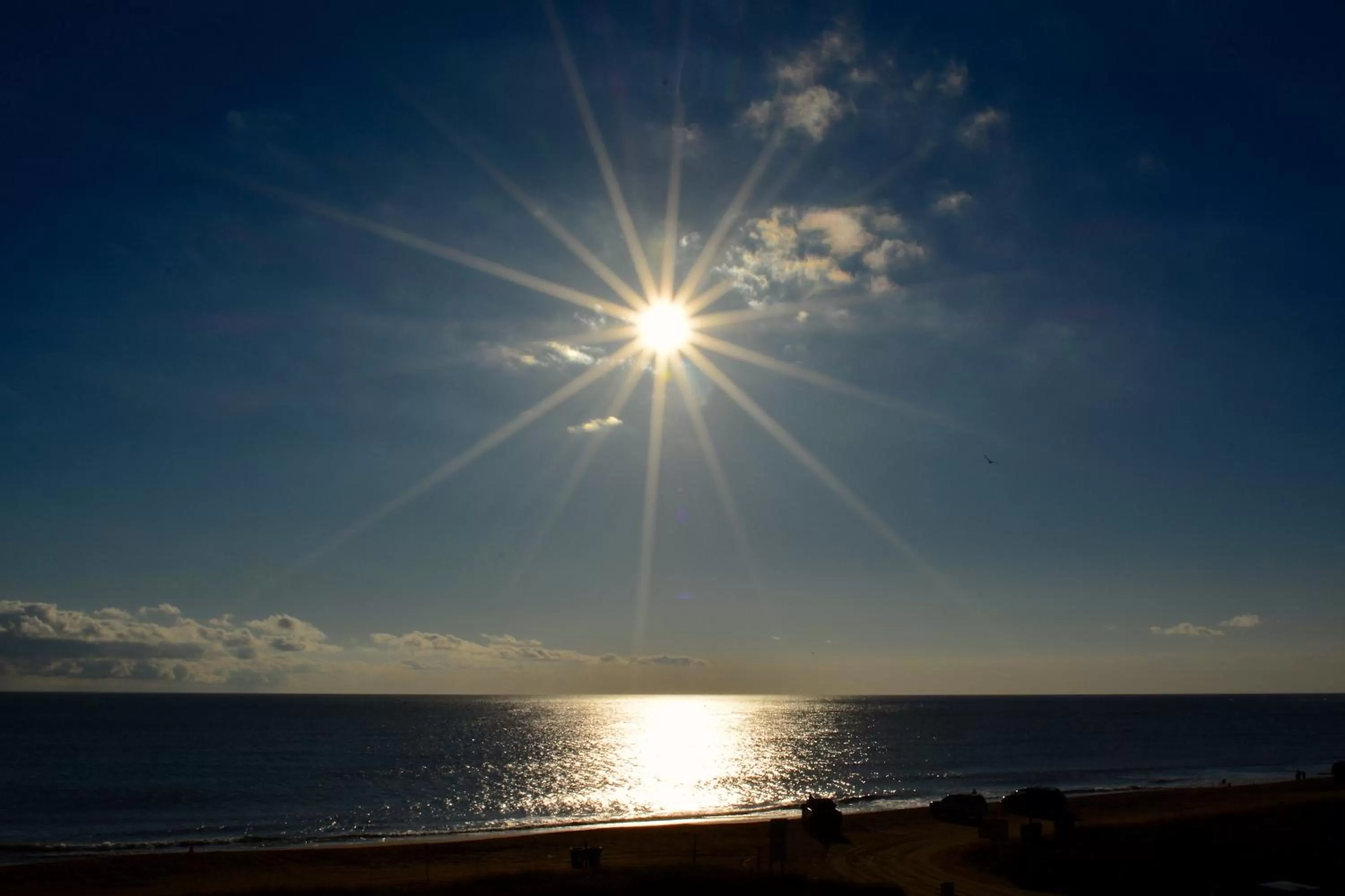 Natural Landscape in The Saint Augustine Beach House