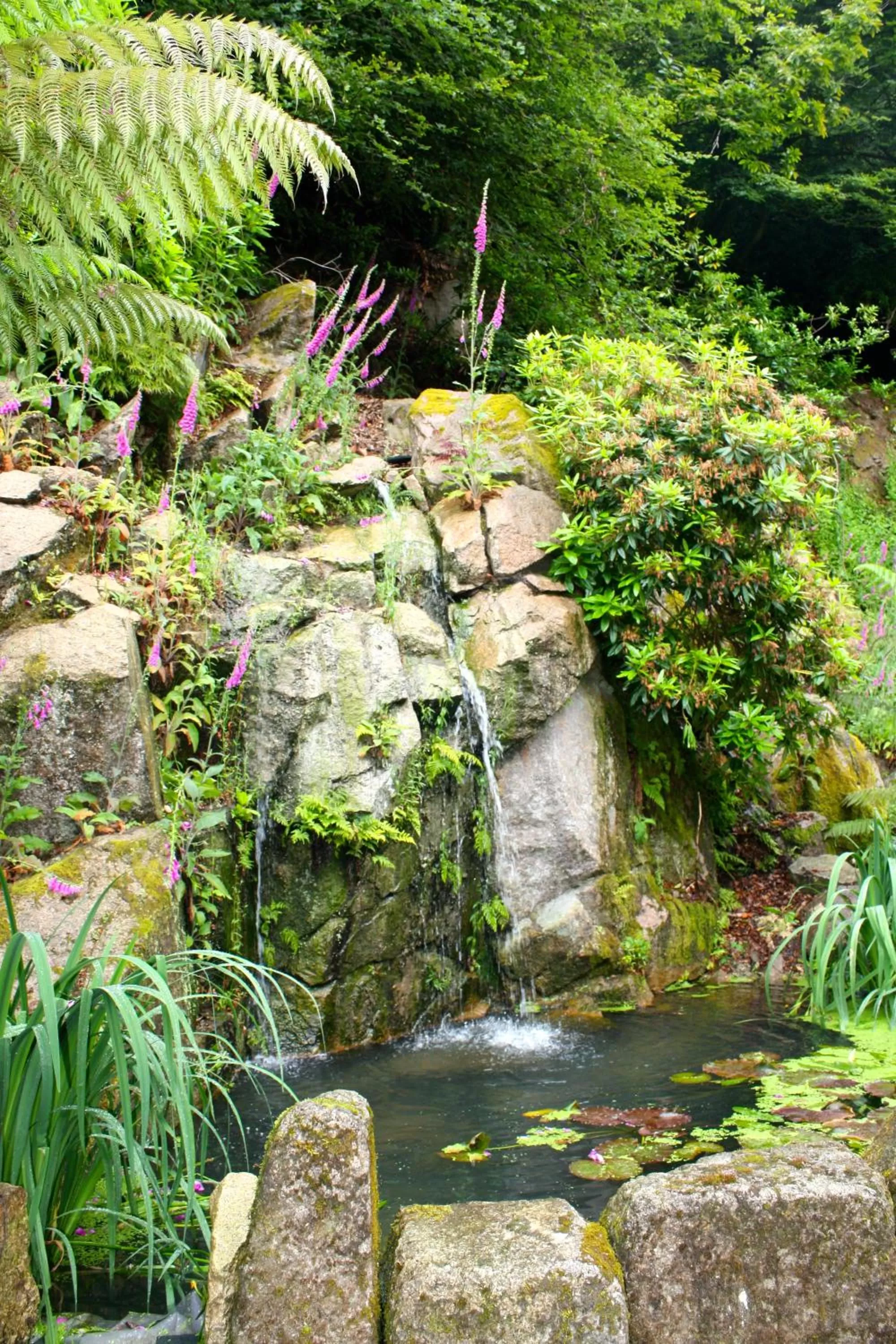 Garden in The Waterwheel