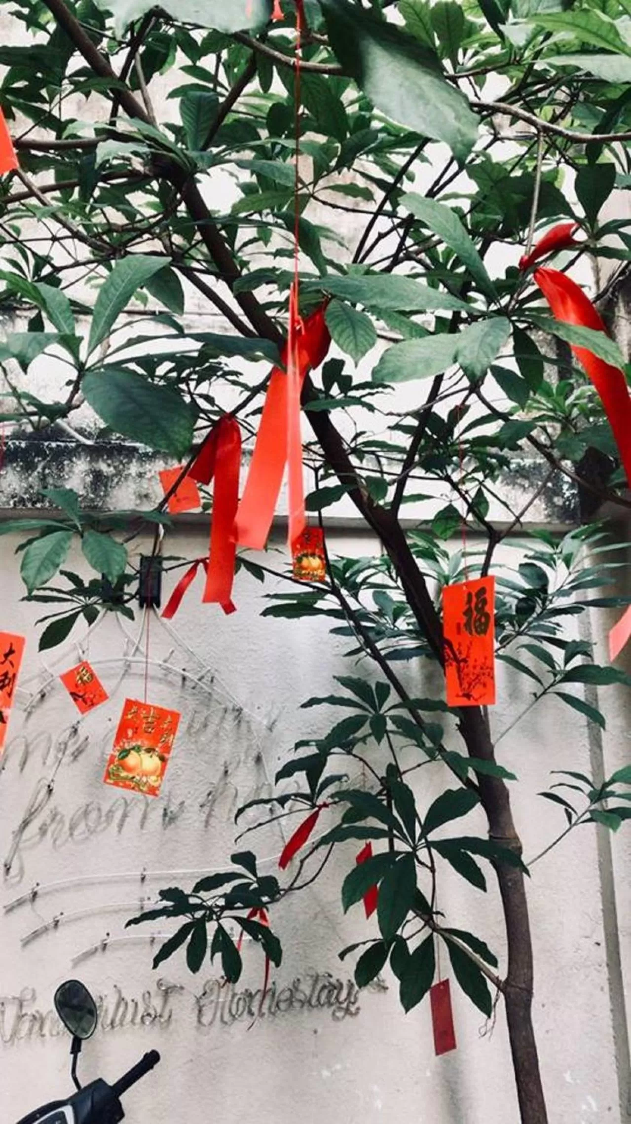 HOSTIE SAIGON [WANDERLUST Home]