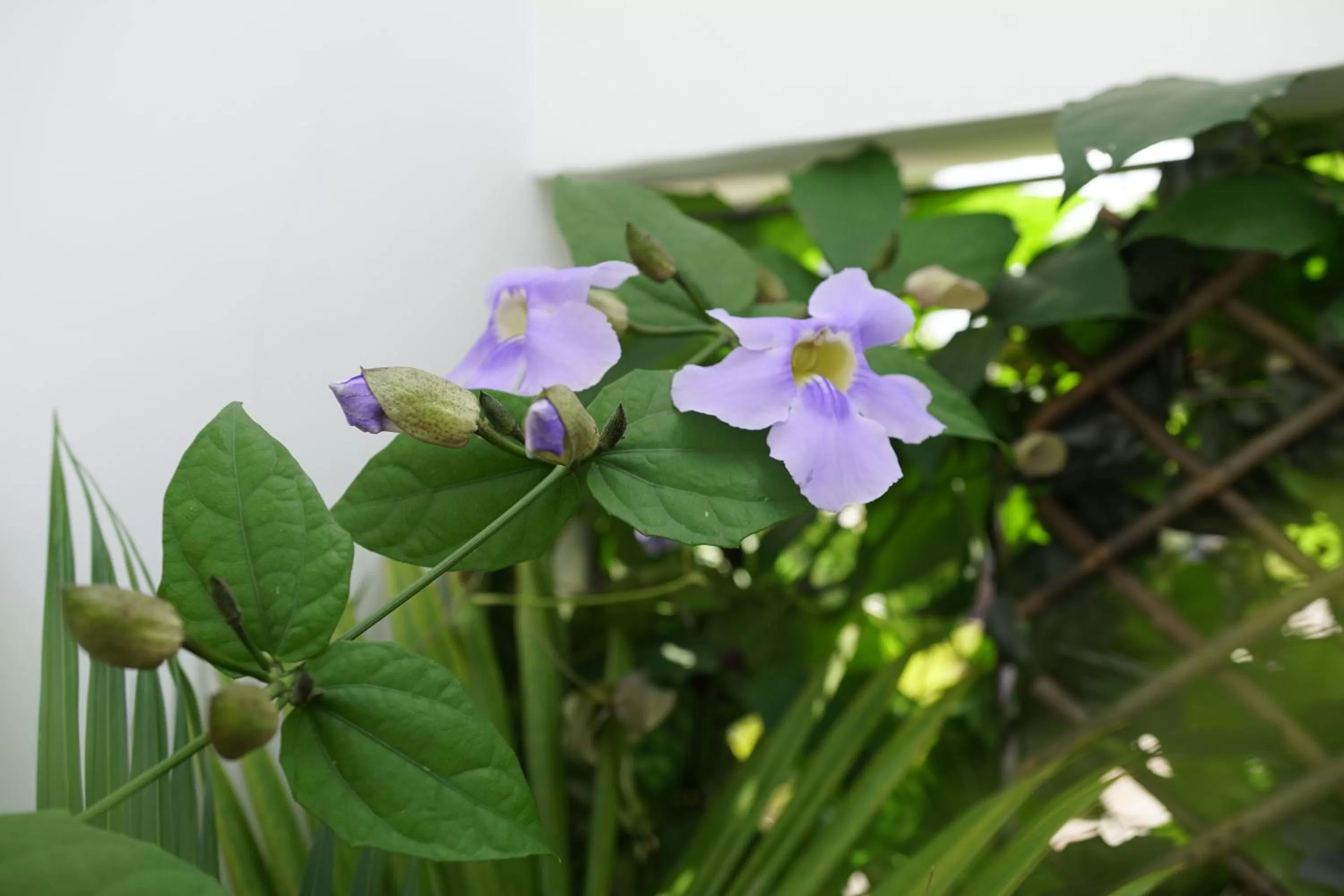 Bathroom in Hotel Chalet El Castillo by Majuva