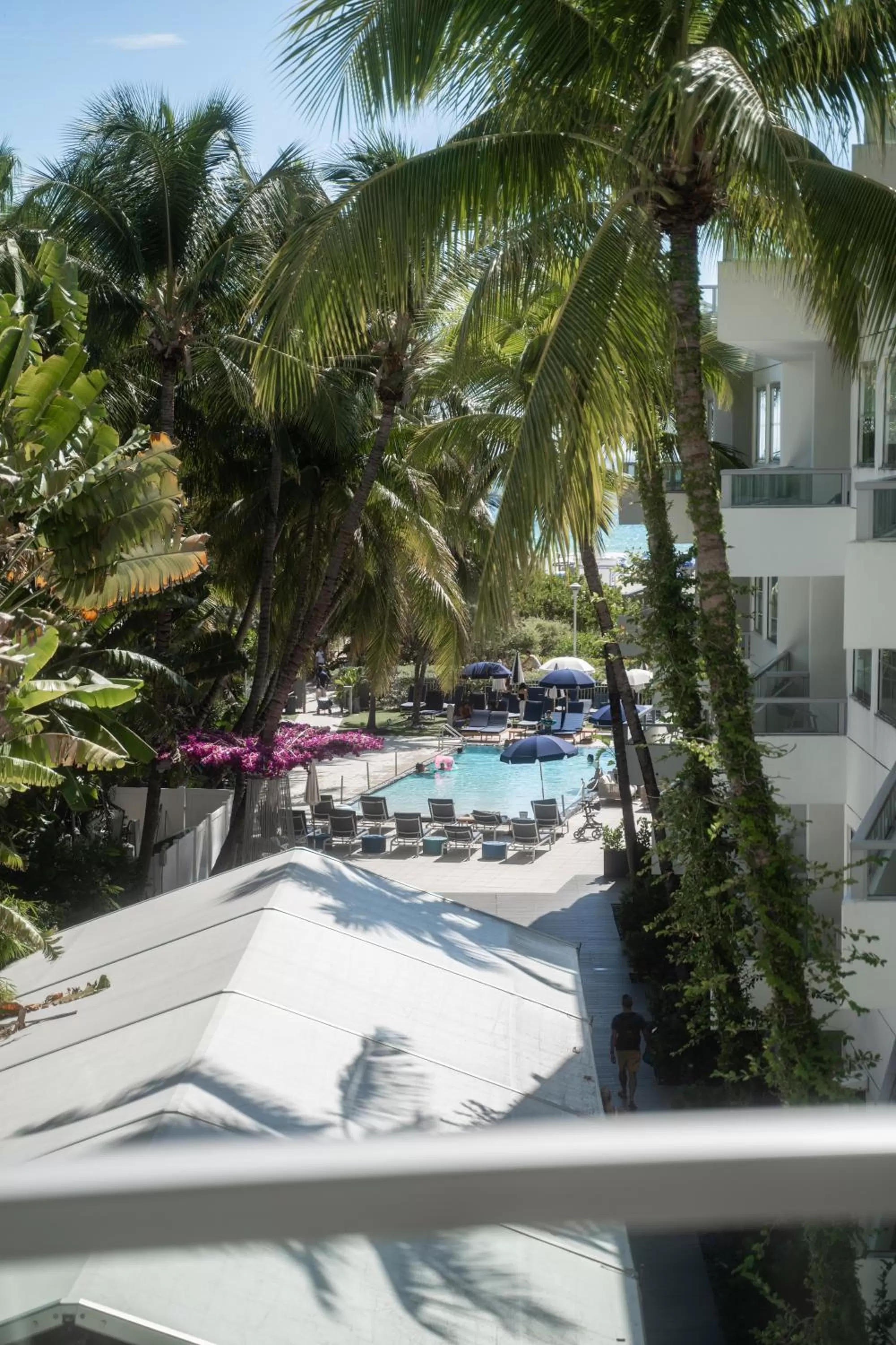 Pool view in The Sagamore Hotel South Beach