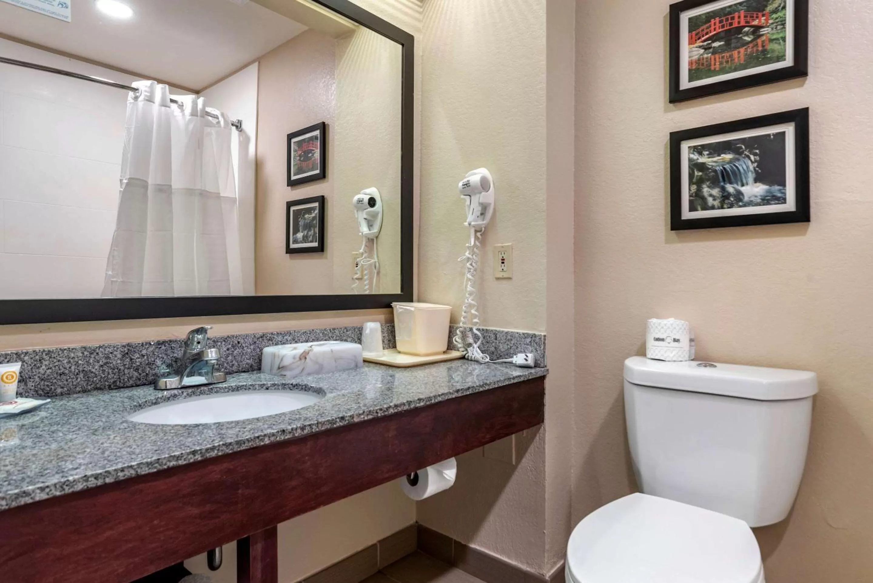 Bathroom in Comfort Inn Birmingham - Irondale