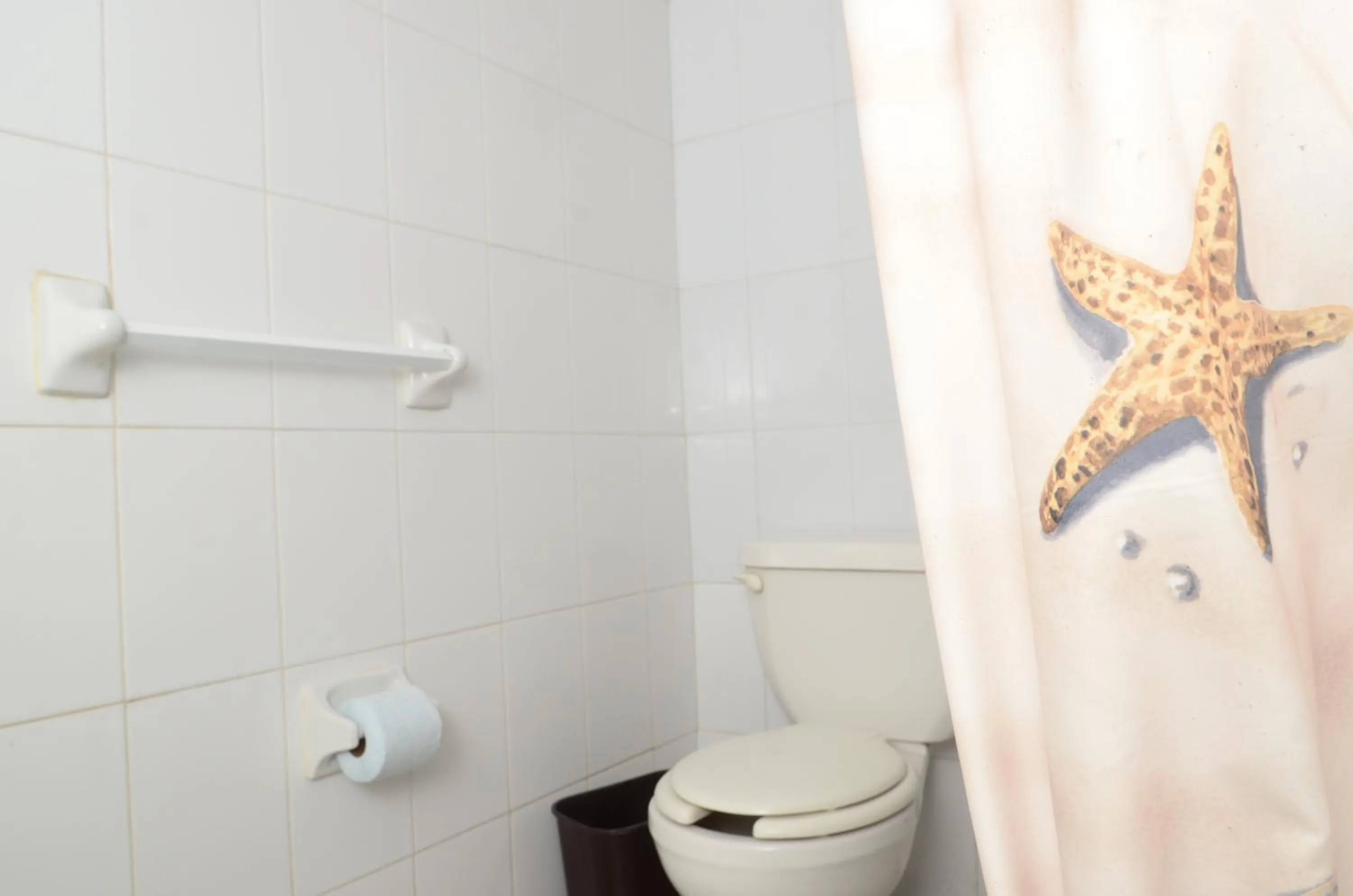 Toilet in Hotel Delfines - a 2 calles del Acuario Veracruz