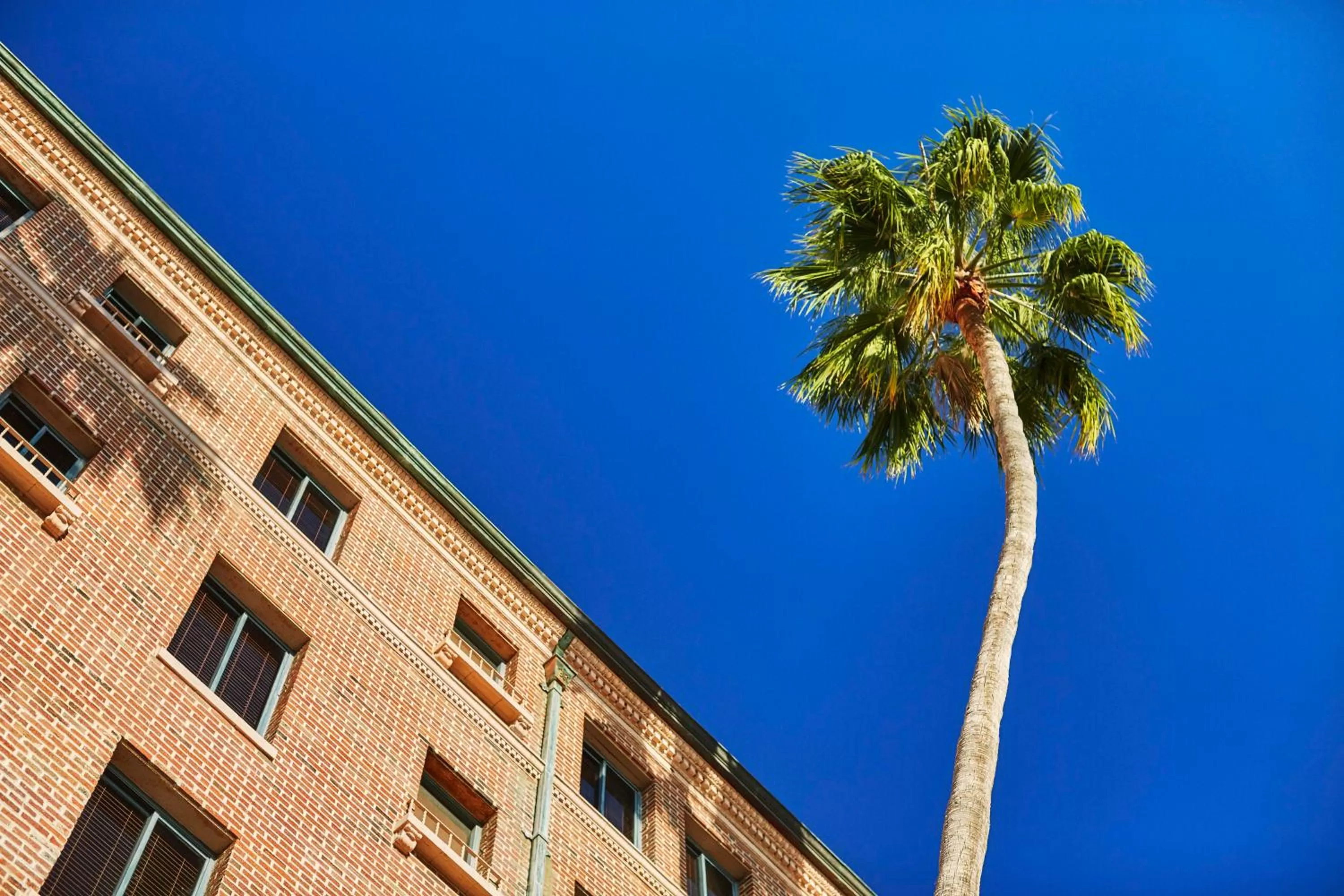 Garden view in Fairmont Miramar Hotel & Bungalows