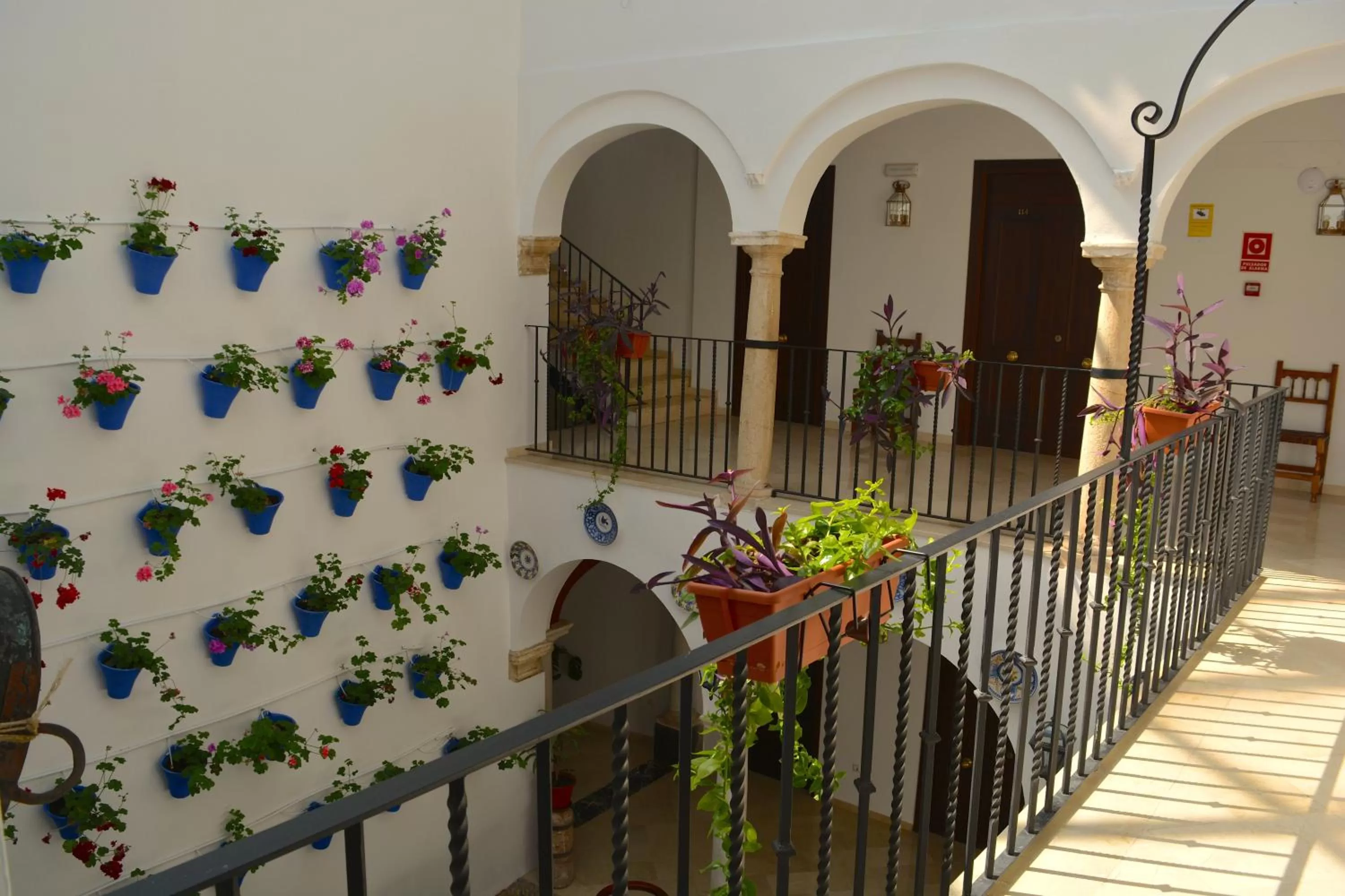 Patio in Hotel Marisa