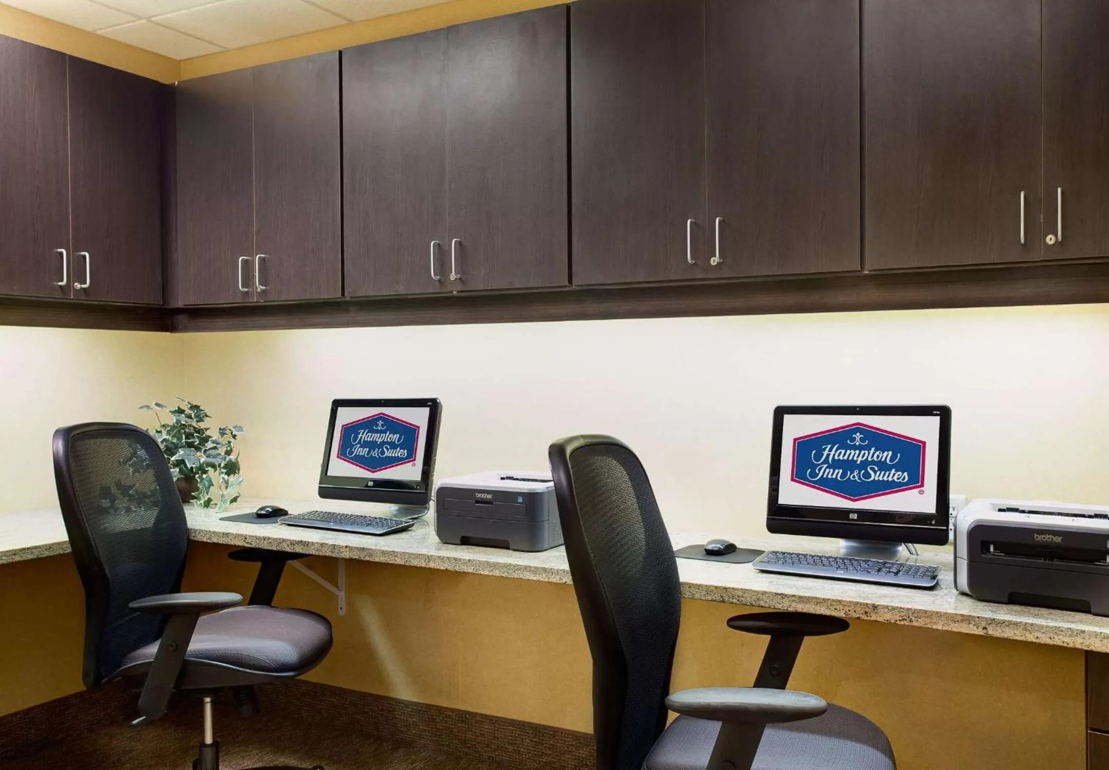 Business facilities in Hampton Inn & Suites Chicago/Saint Charles