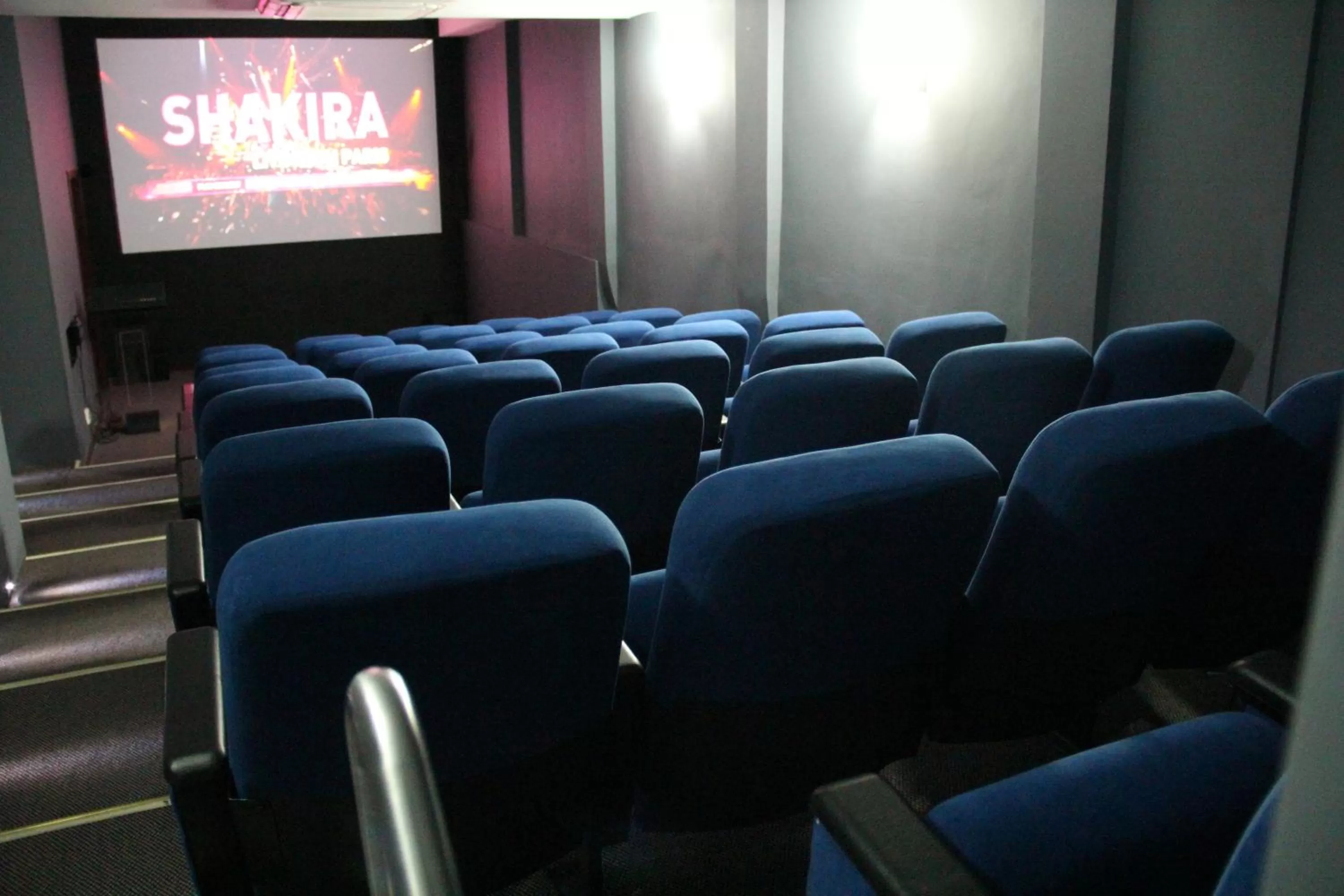 Business facilities in Hotel San Fernando Real