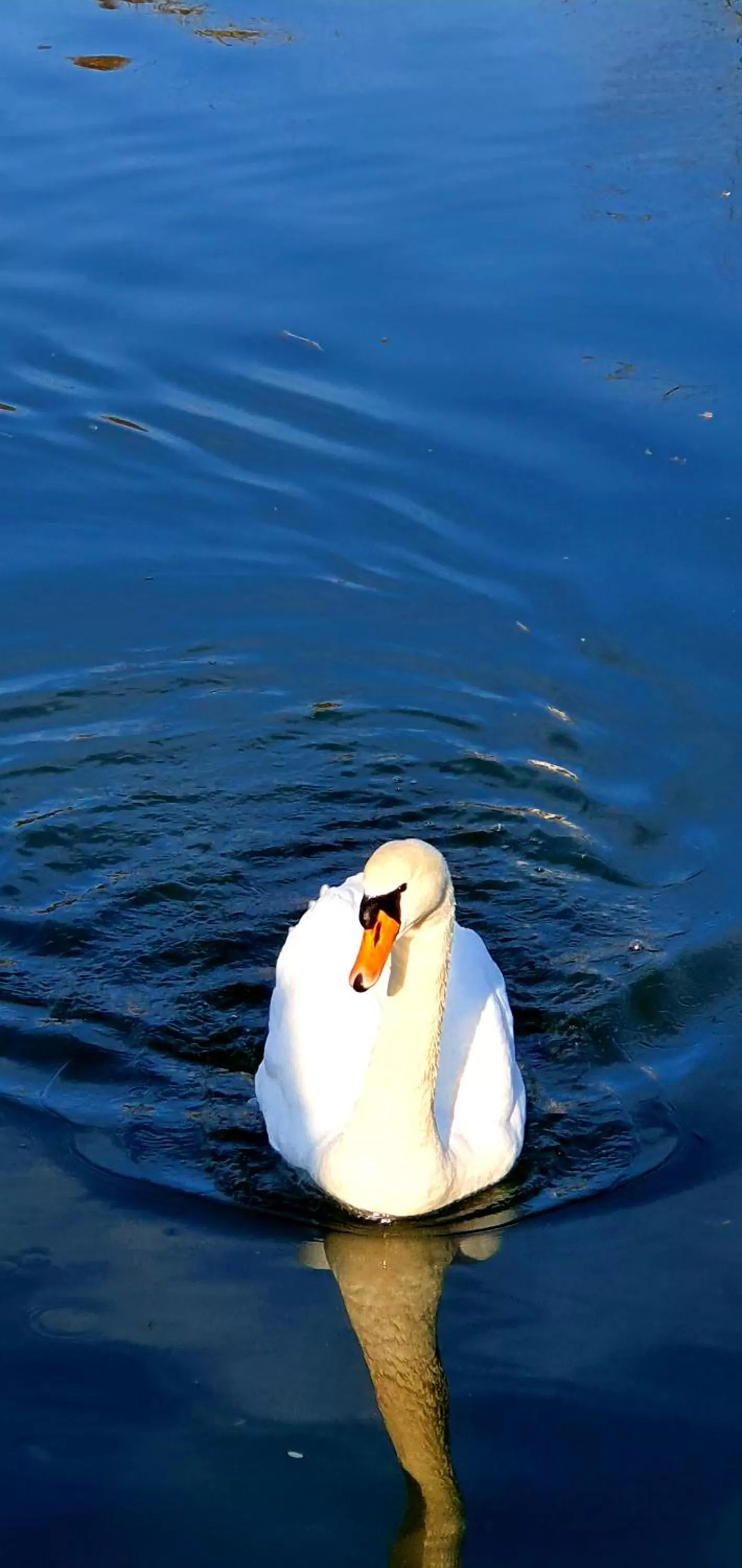 Staff in Boutique-Hotel Kronenstuben
