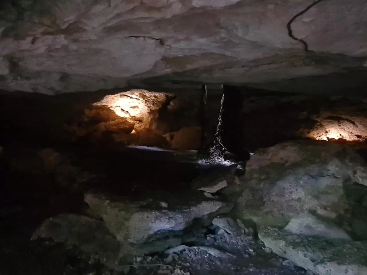 Natural landscape in Zenote Sanctuary