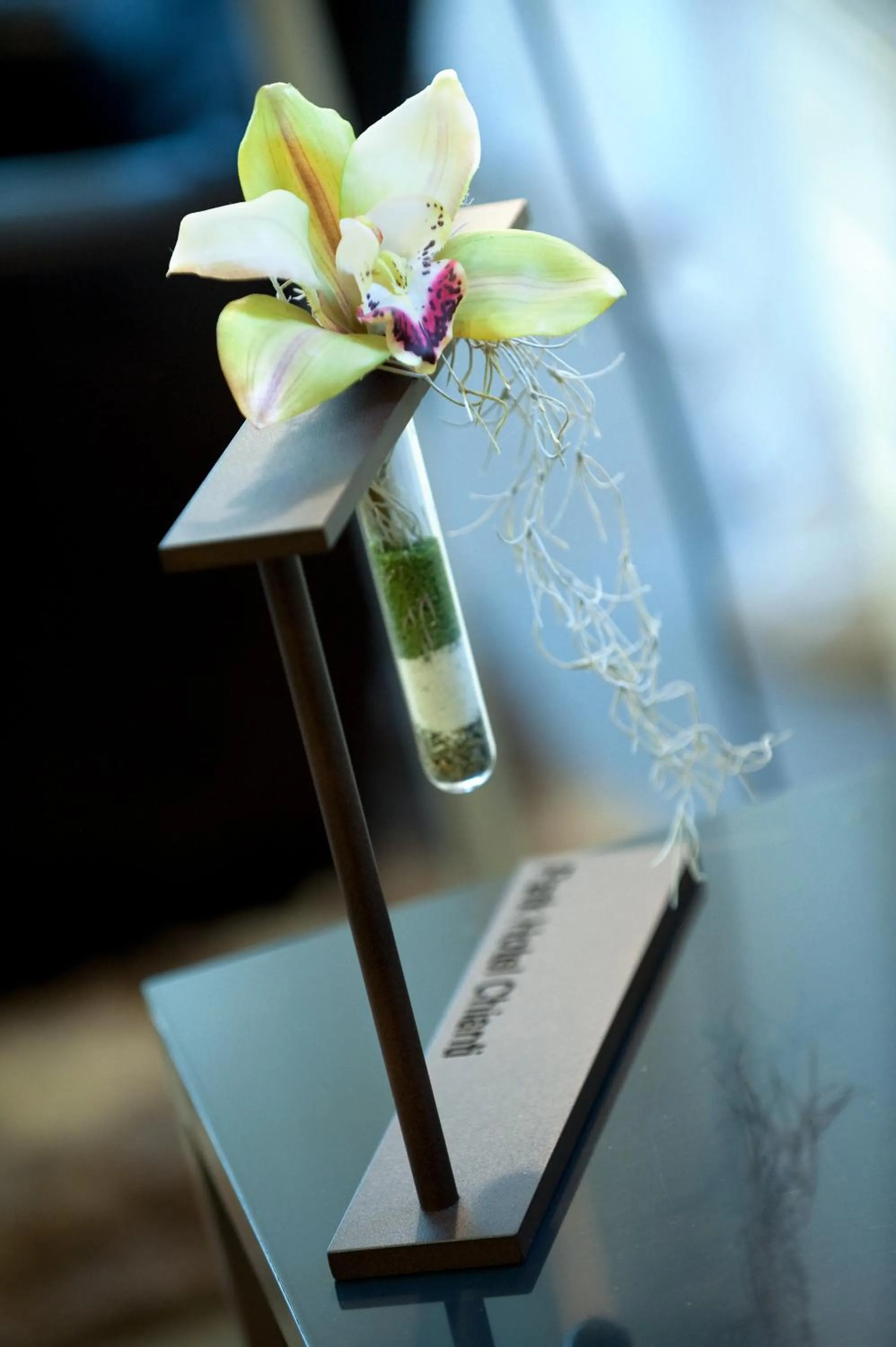 Decorative detail in Park Hotel Chianti