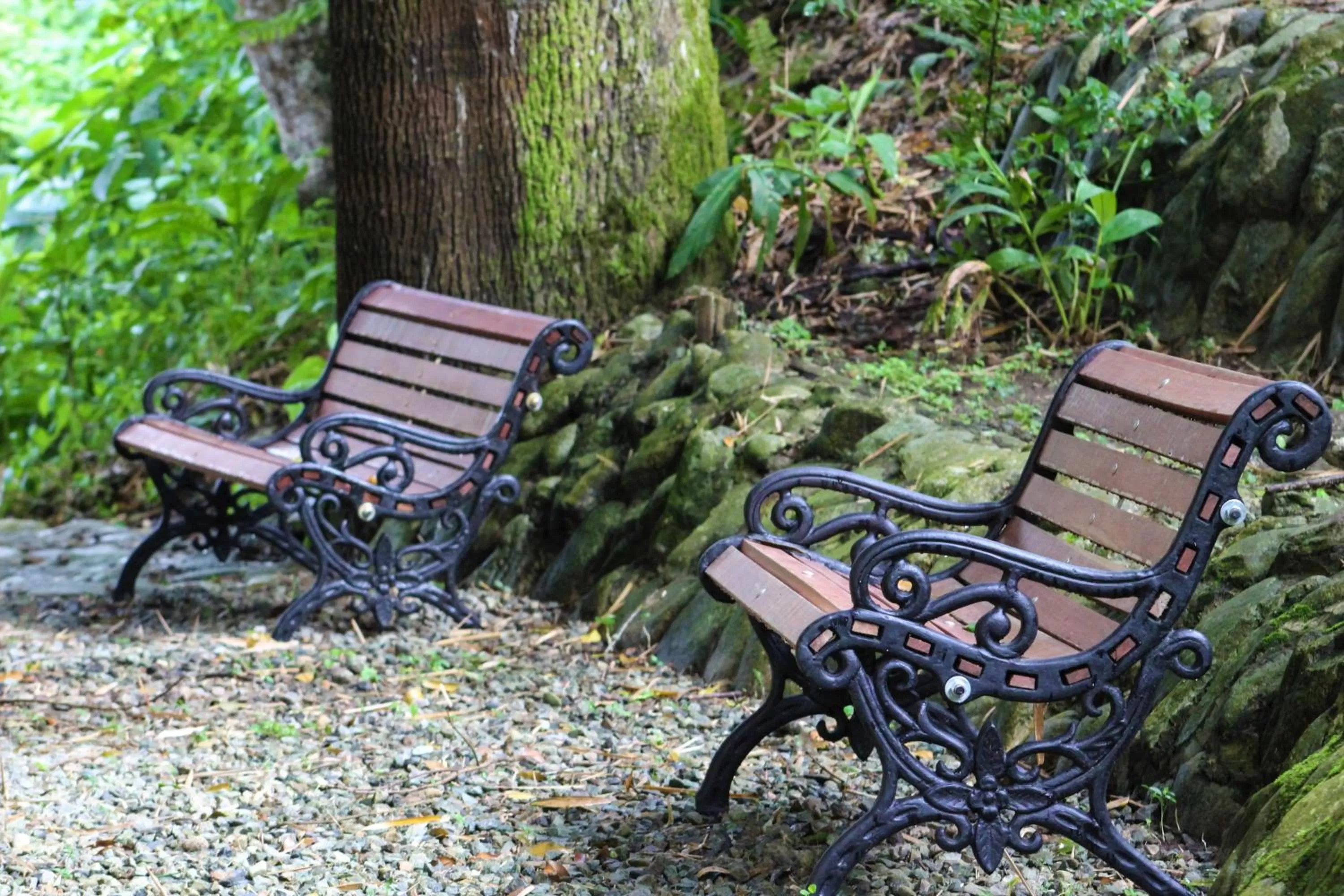 Patio, Garden in Hotel Bambu Inn