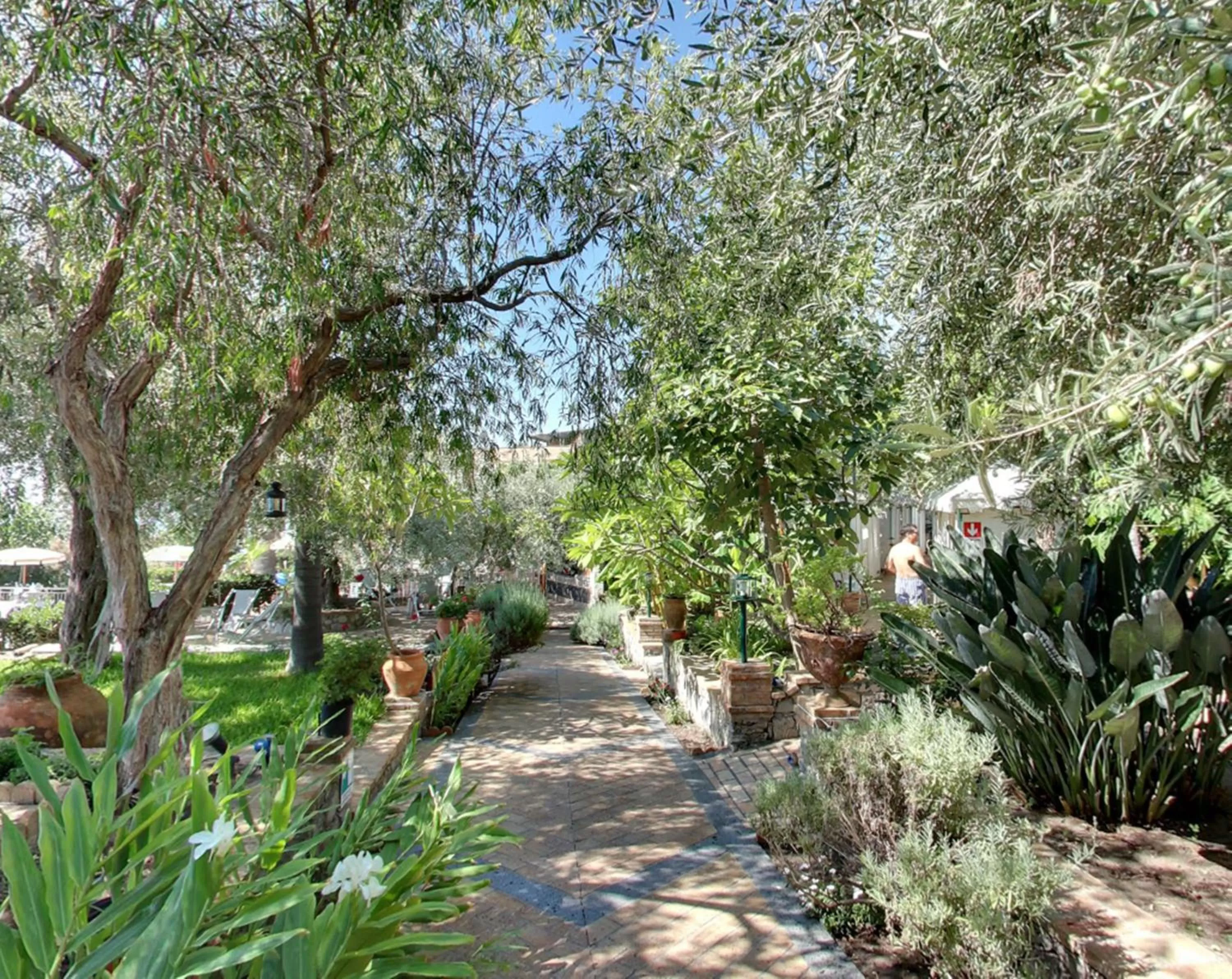 Swimming pool in Hotel Villa Paradiso