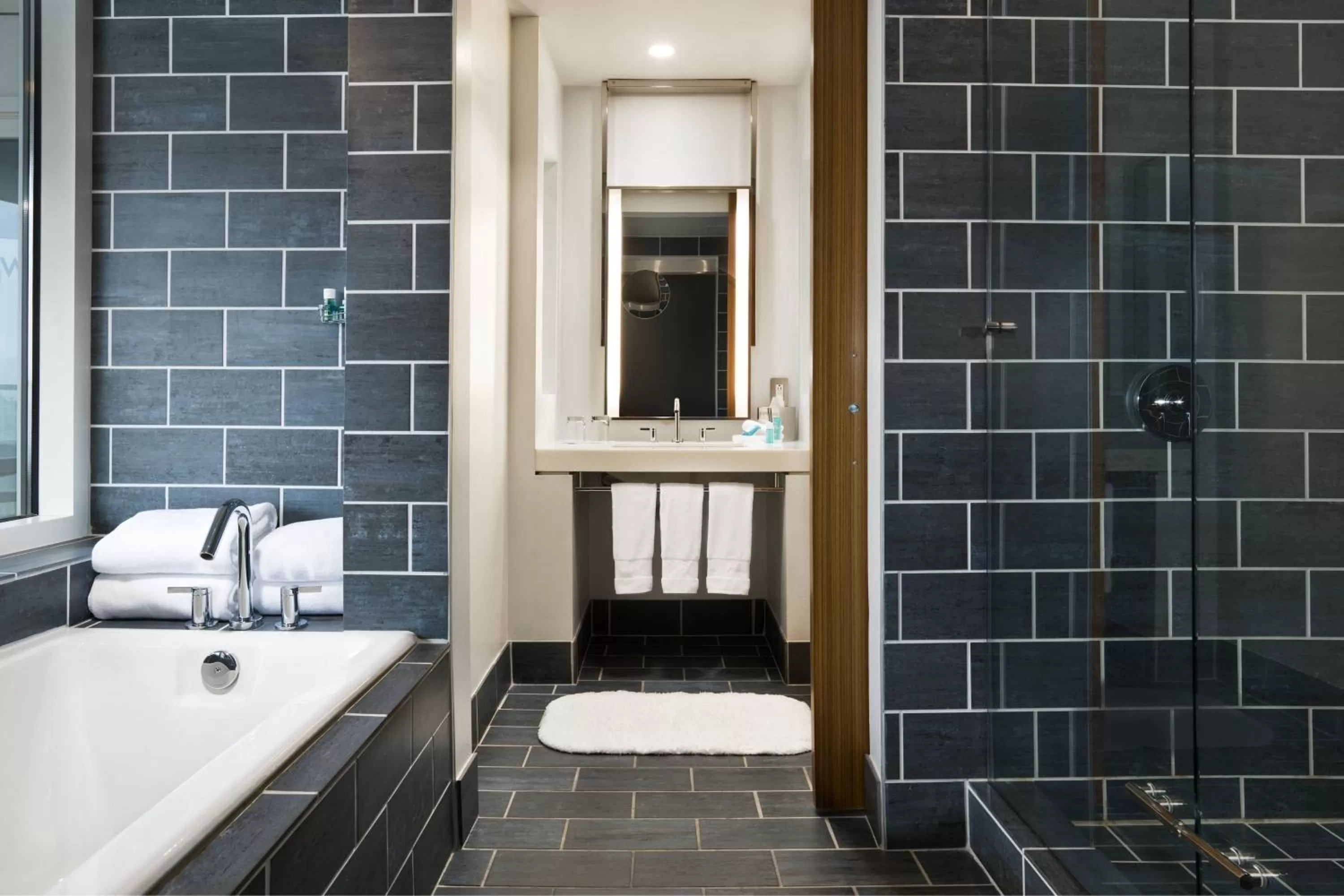 Bathroom in W Dallas