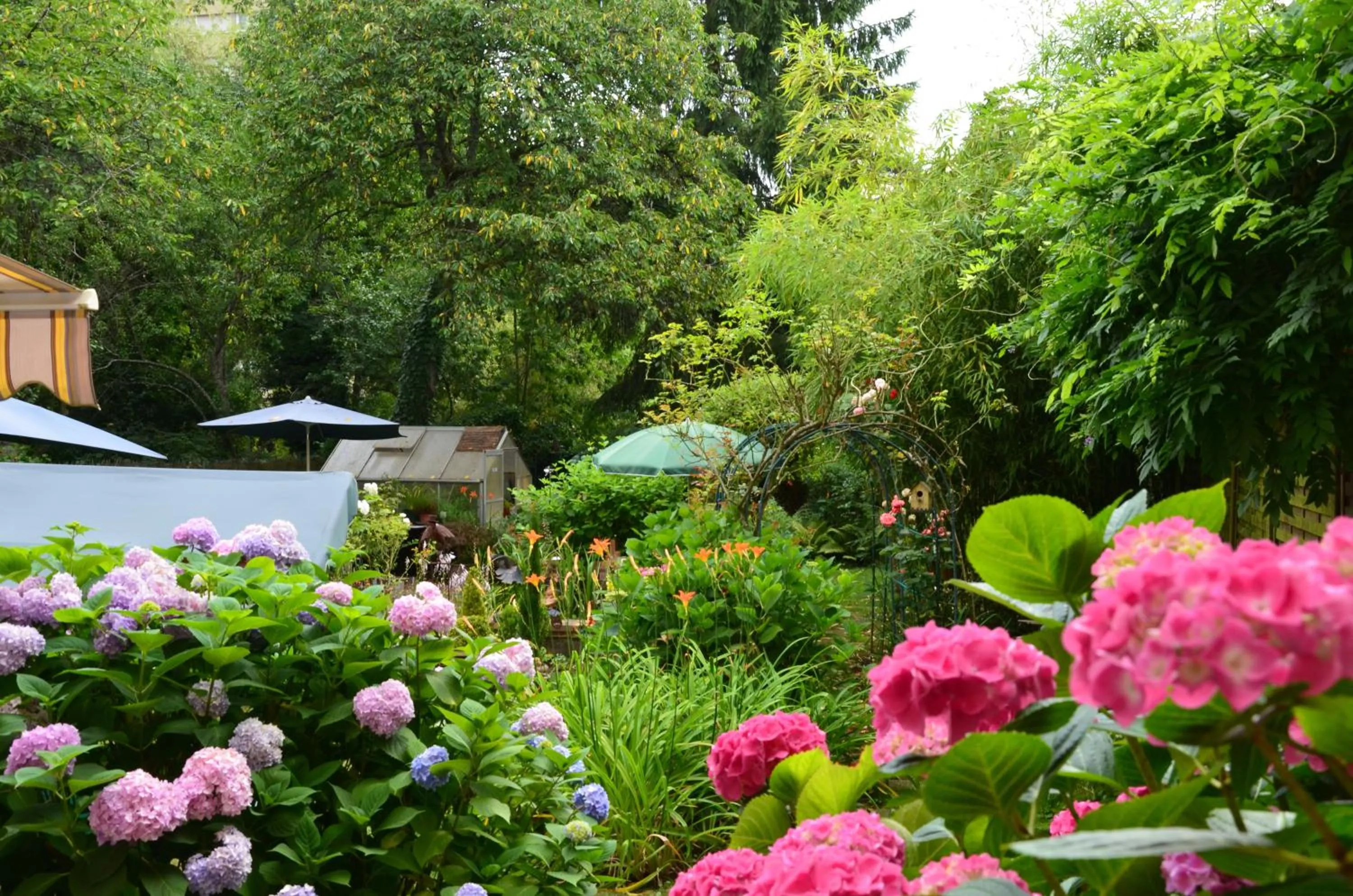 Garden in Hôtel Vauban