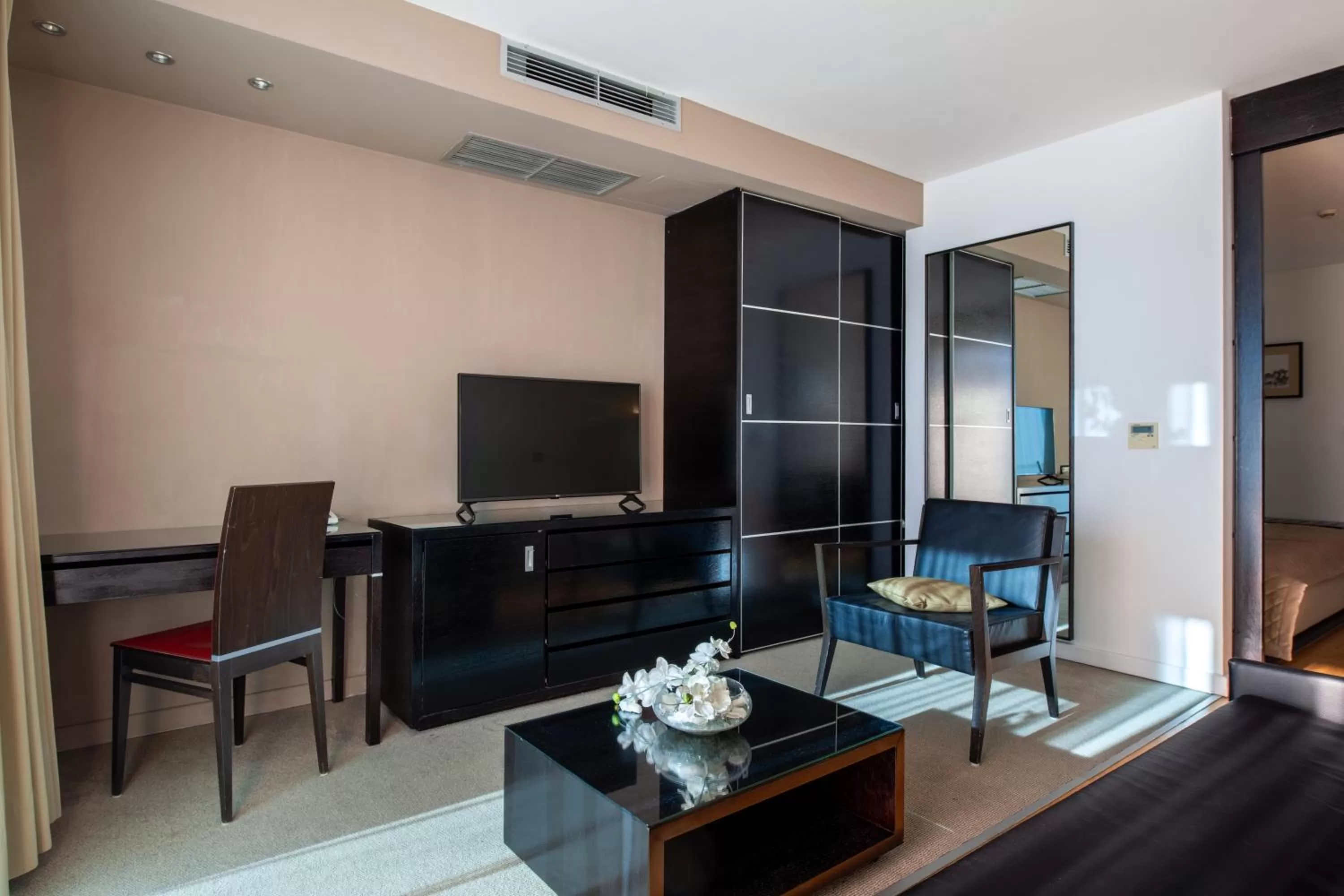 TV and multimedia in Hotel San Antonio