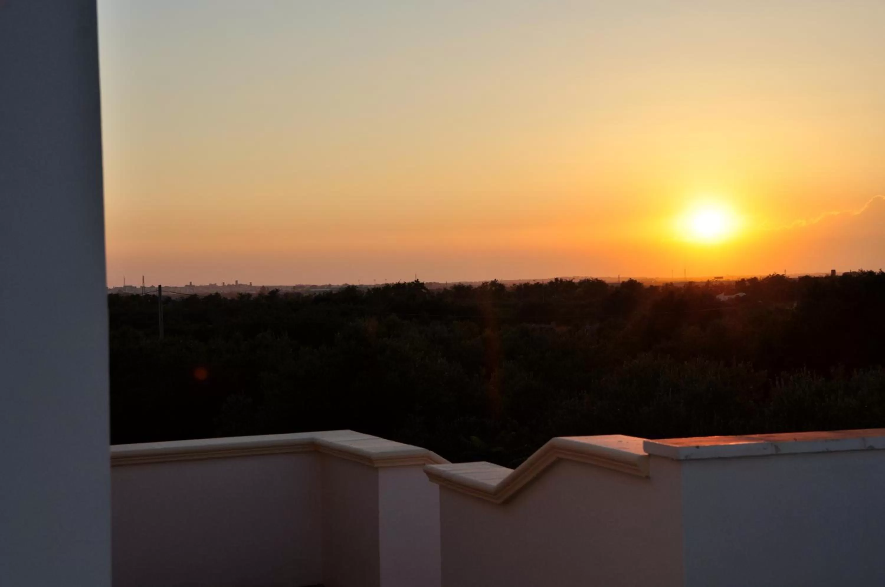 Garden view in B&B La Seta Rossa