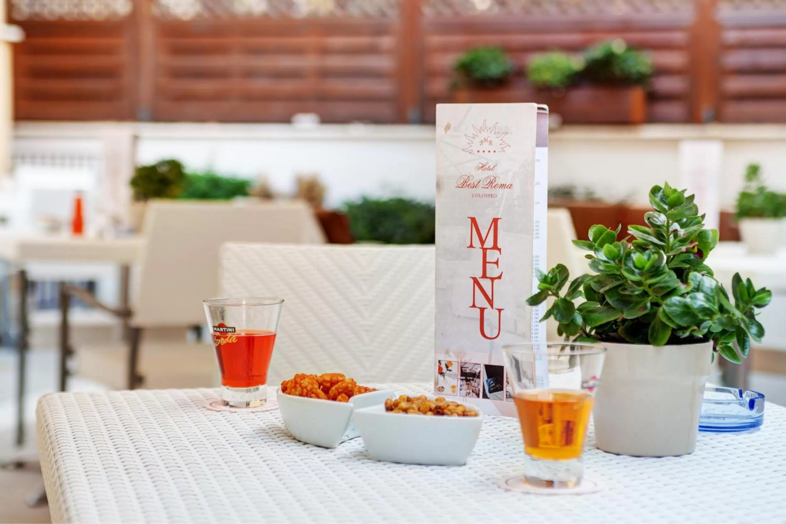 Garden in Hotel Best Roma