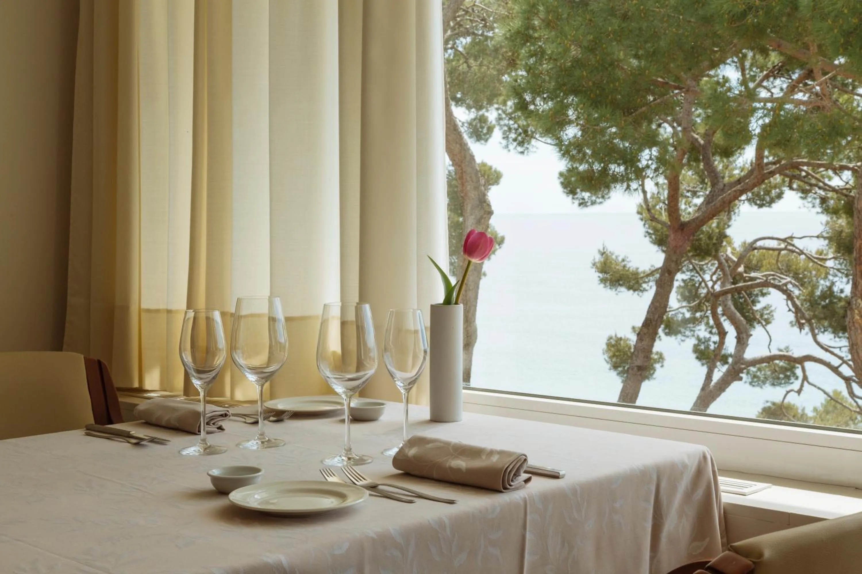 Restaurant/places to eat in Hotel Santa Marta